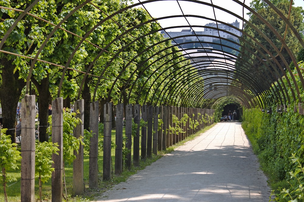 a walkway lined with trees and plants next to a building