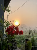 Sunrise over the Shrine of Our Lady of Czestochowa with colorful flowers in the foreground