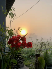 A peaceful sunrise over a quiet garden, symbolizing new beginnings and spiritual growth.
