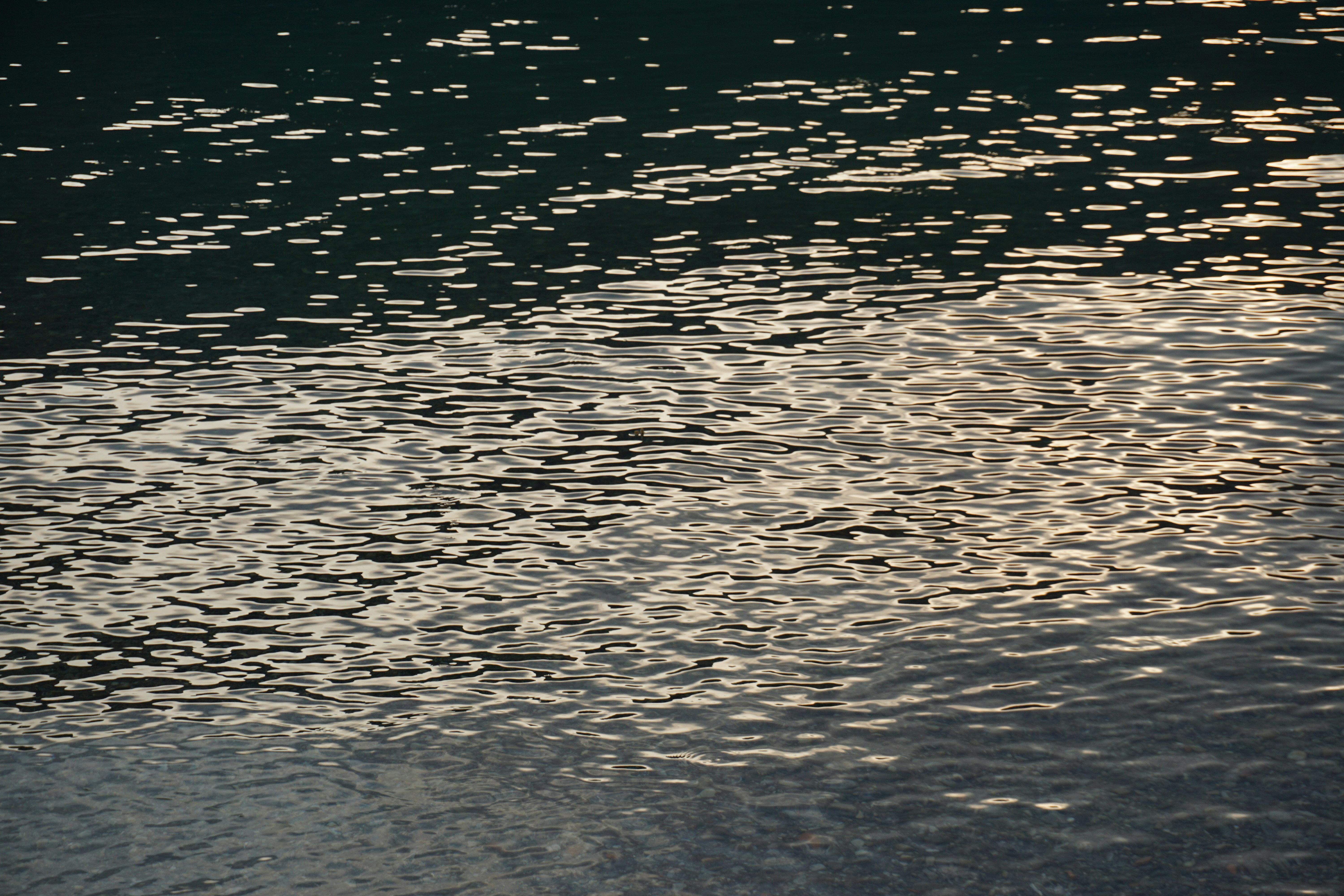 Photo by andreas_haubold