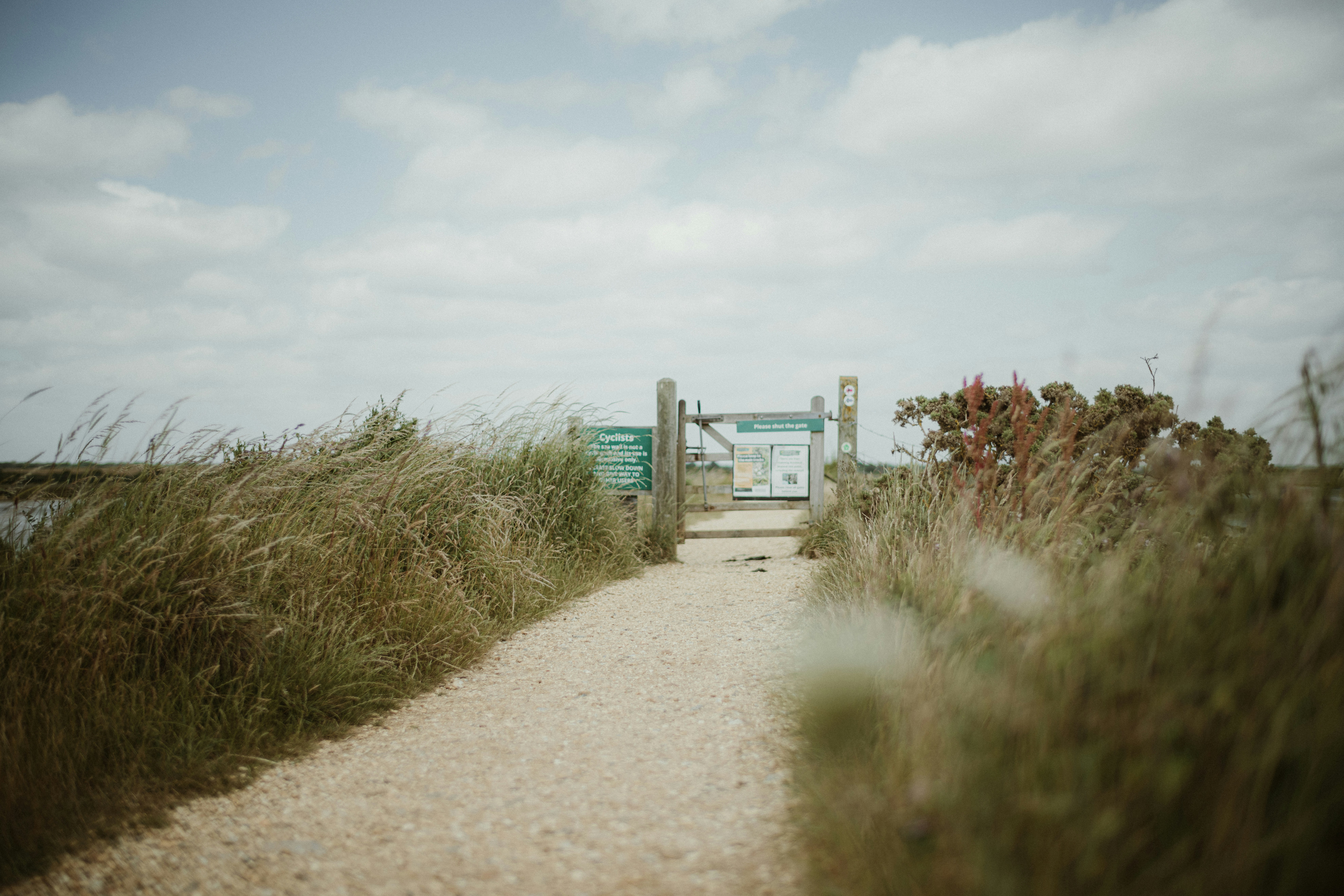 Photo by anniespratt