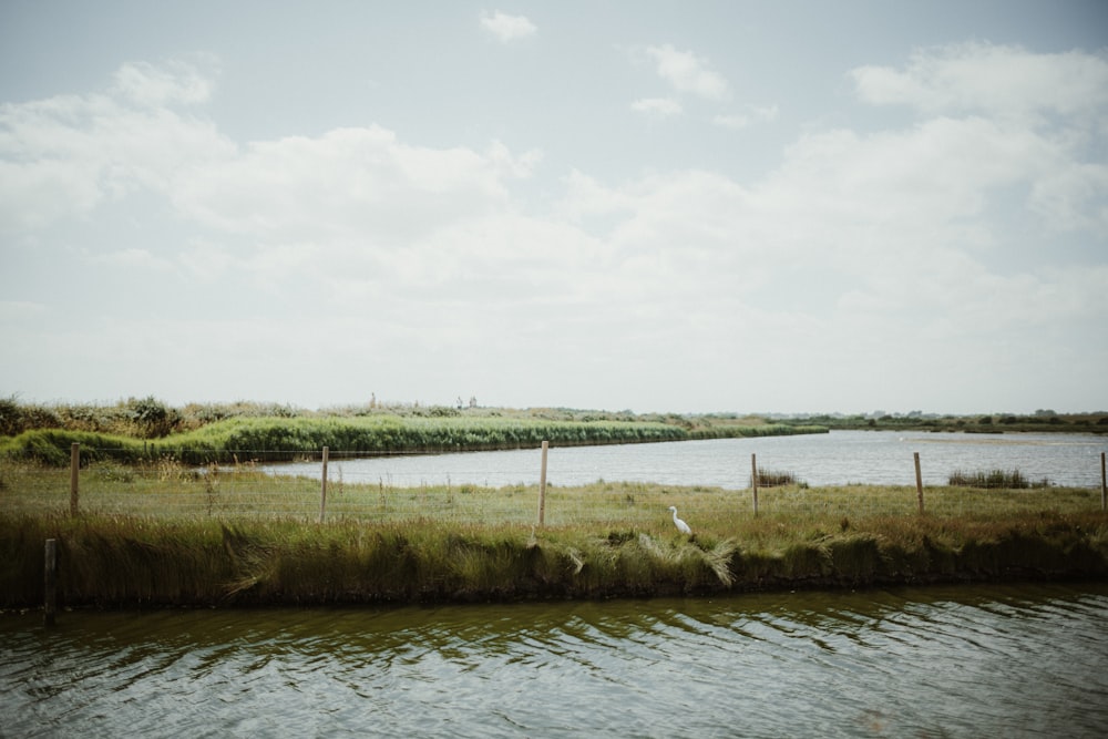 a large body of water sitting next to a lush green field