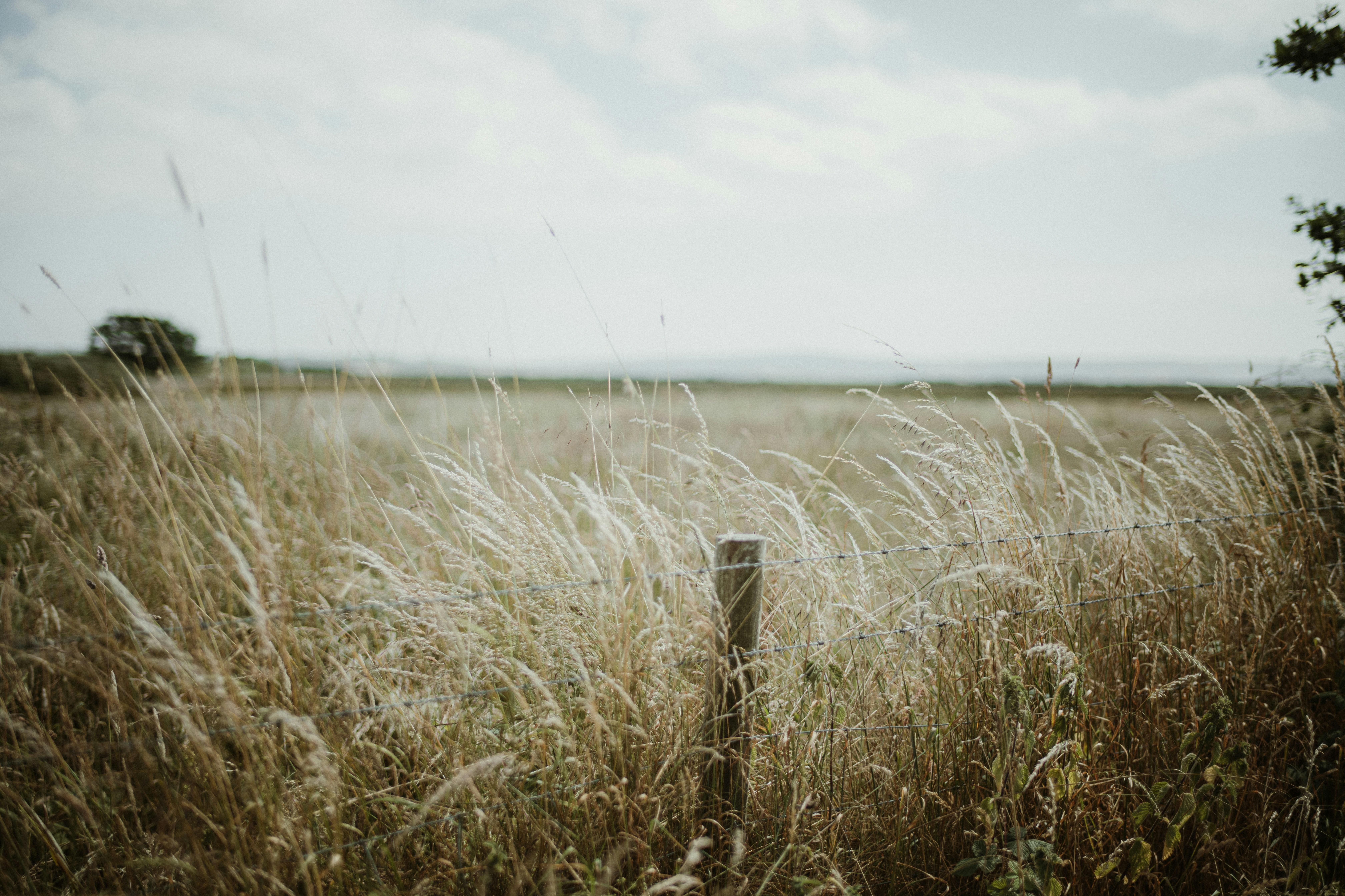 Photo by anniespratt