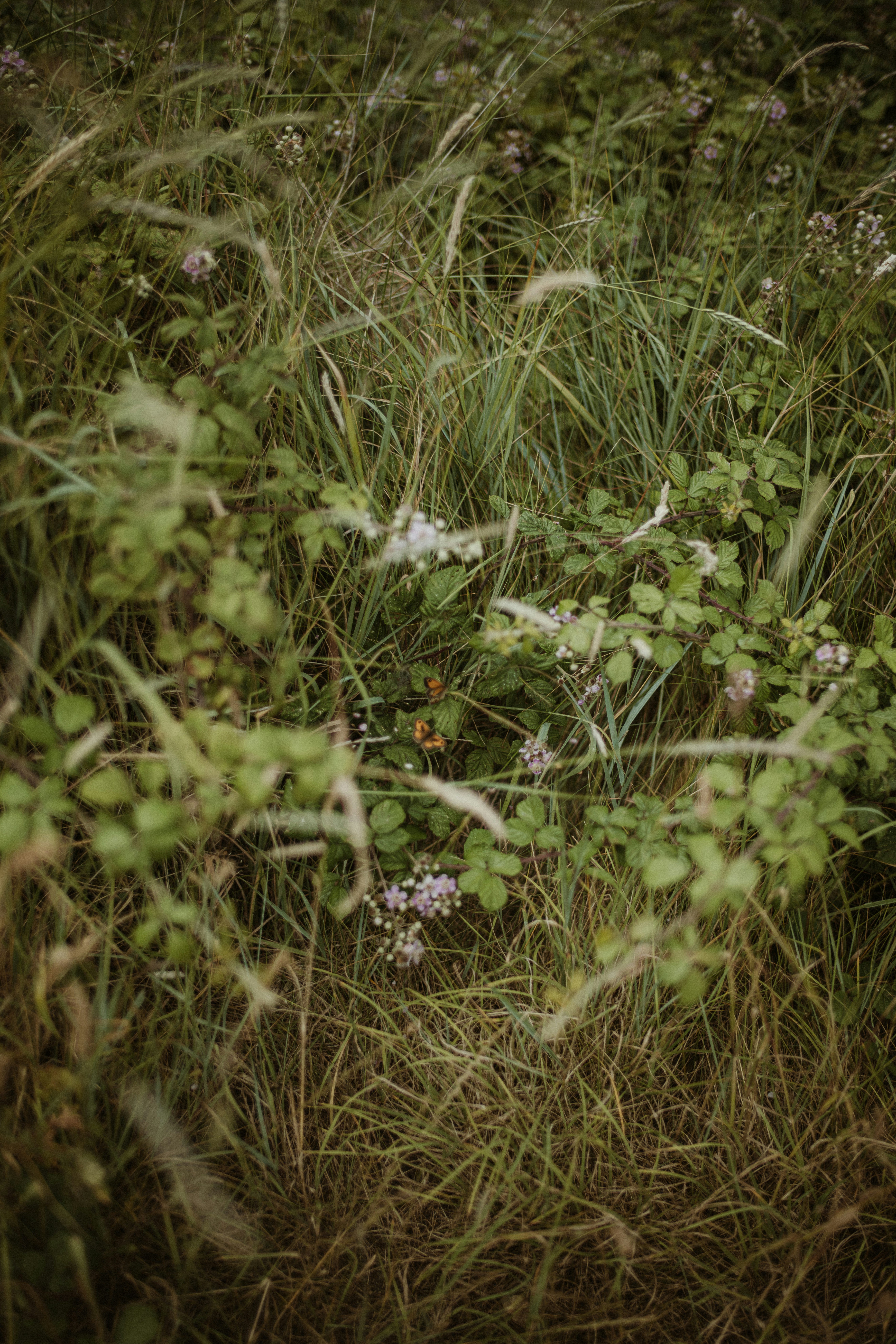 Photo by anniespratt