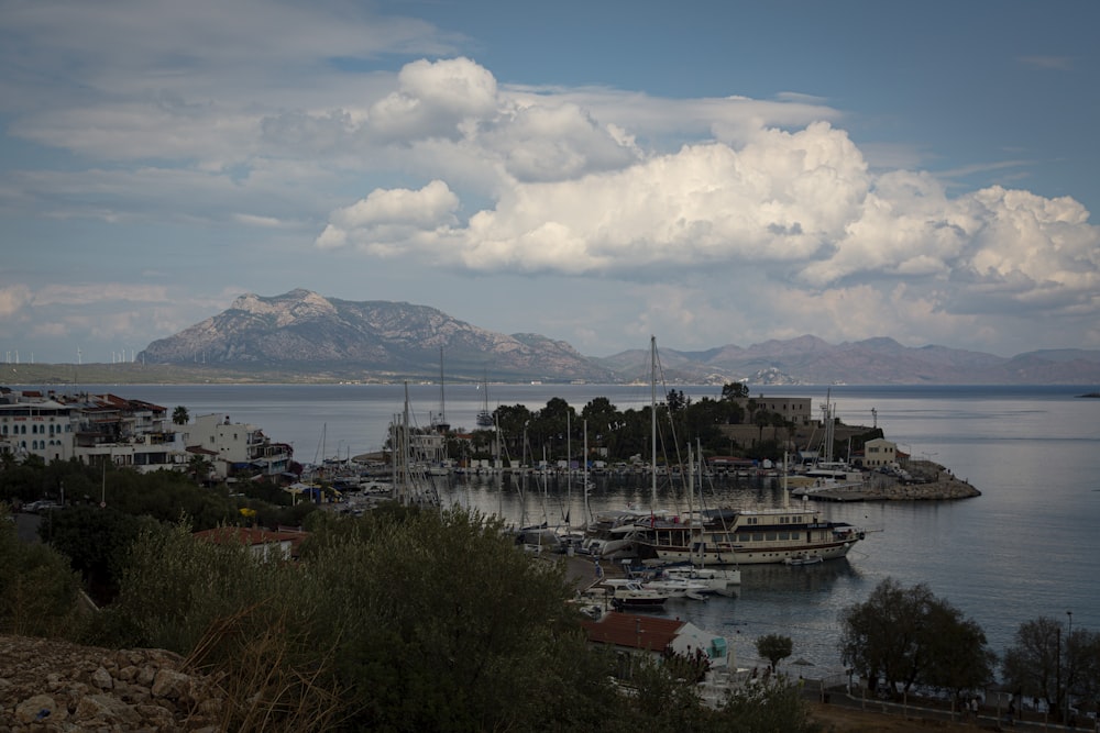 a view of a harbor with boats and mountains in the background