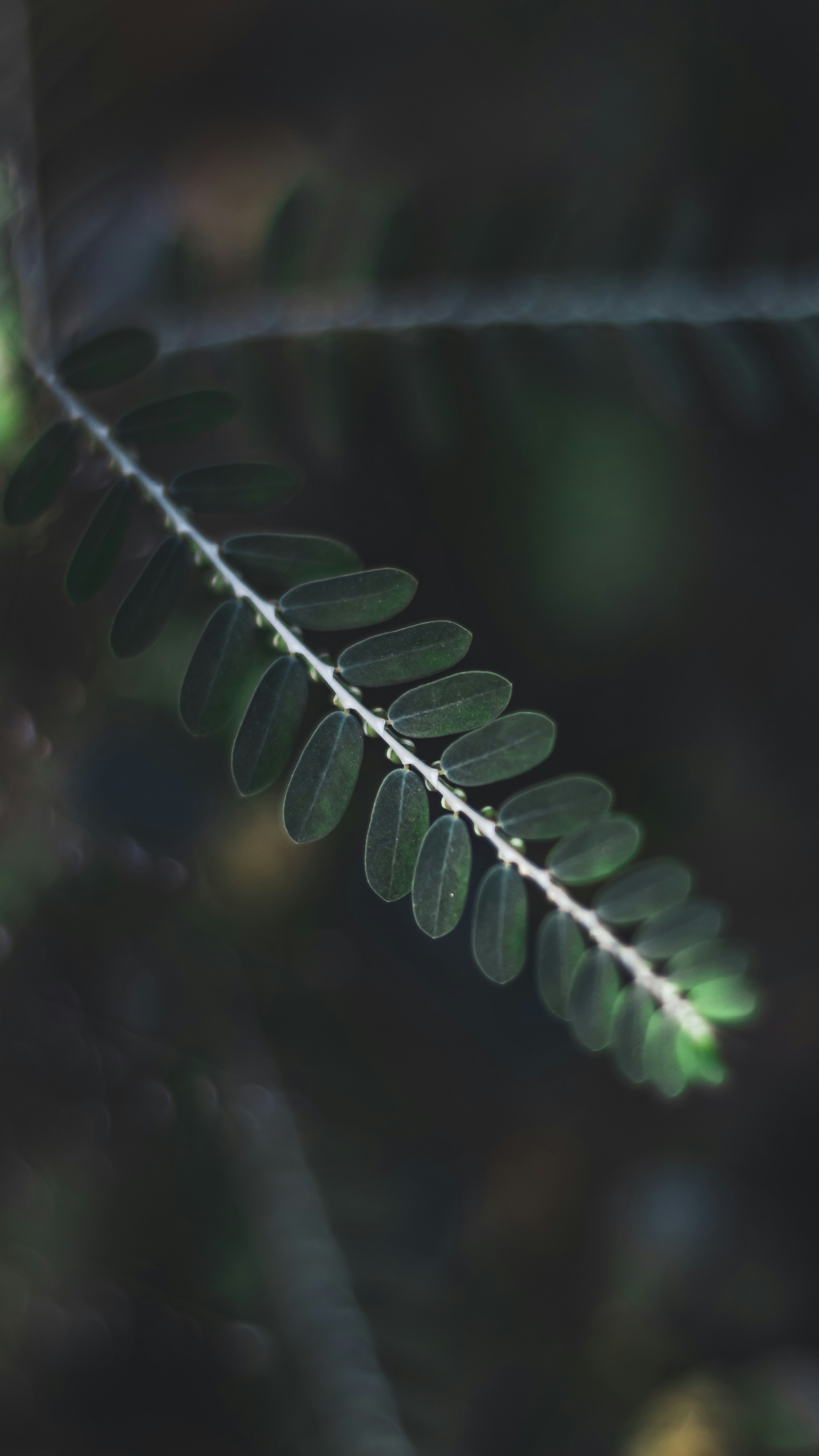 Photo by i_do_photographee