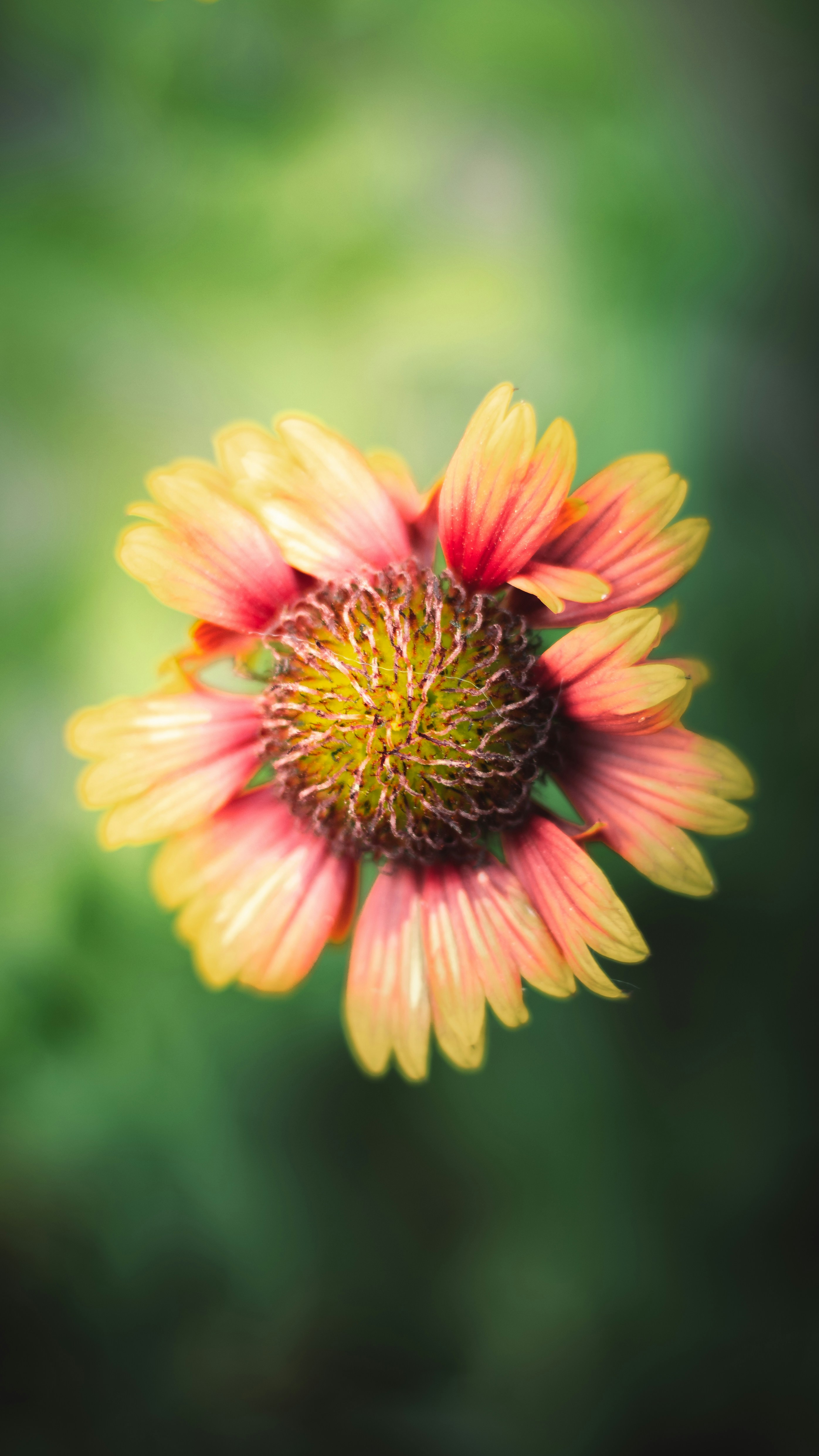 Photo by i_do_photographee