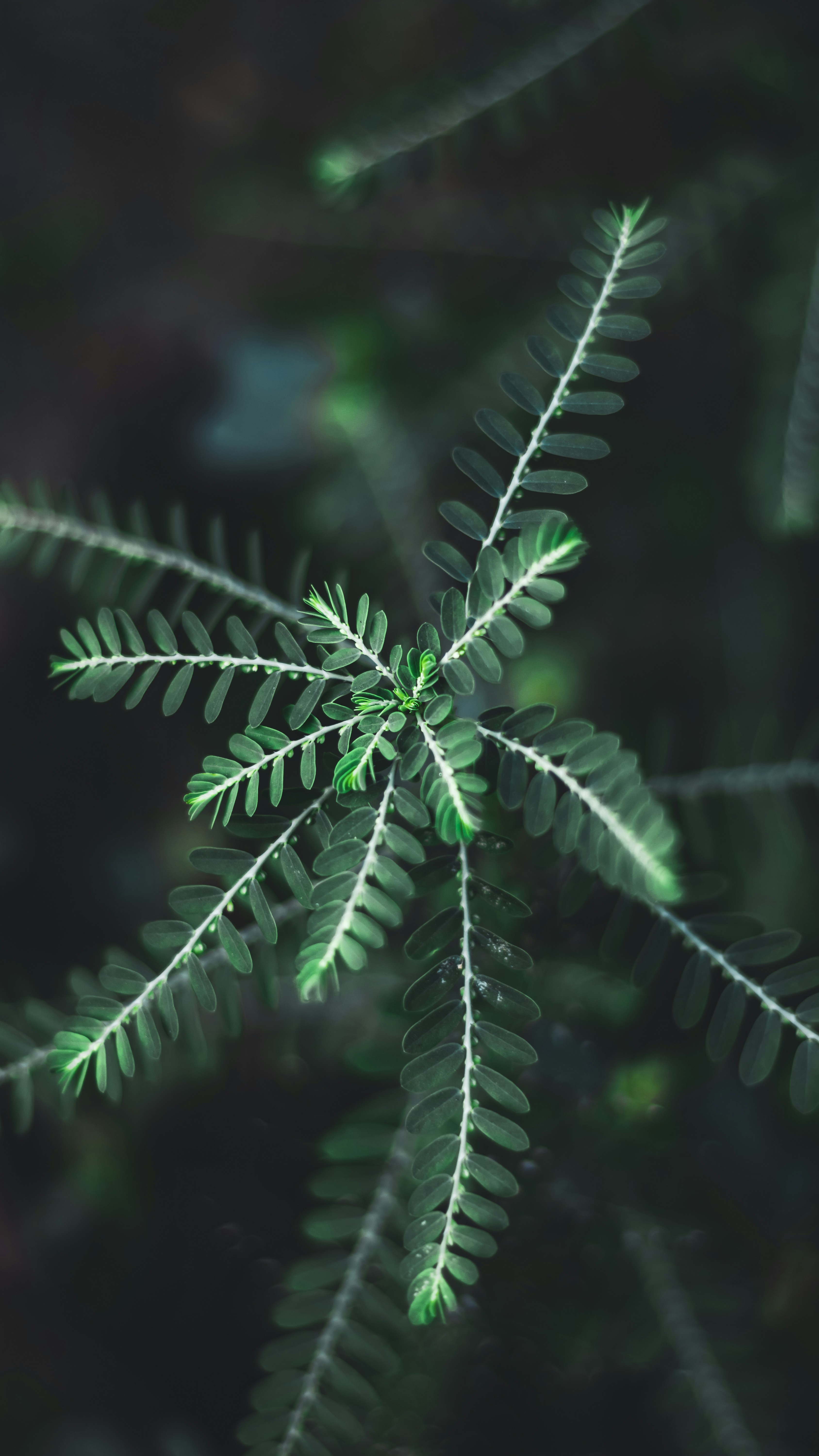 Photo by i_do_photographee