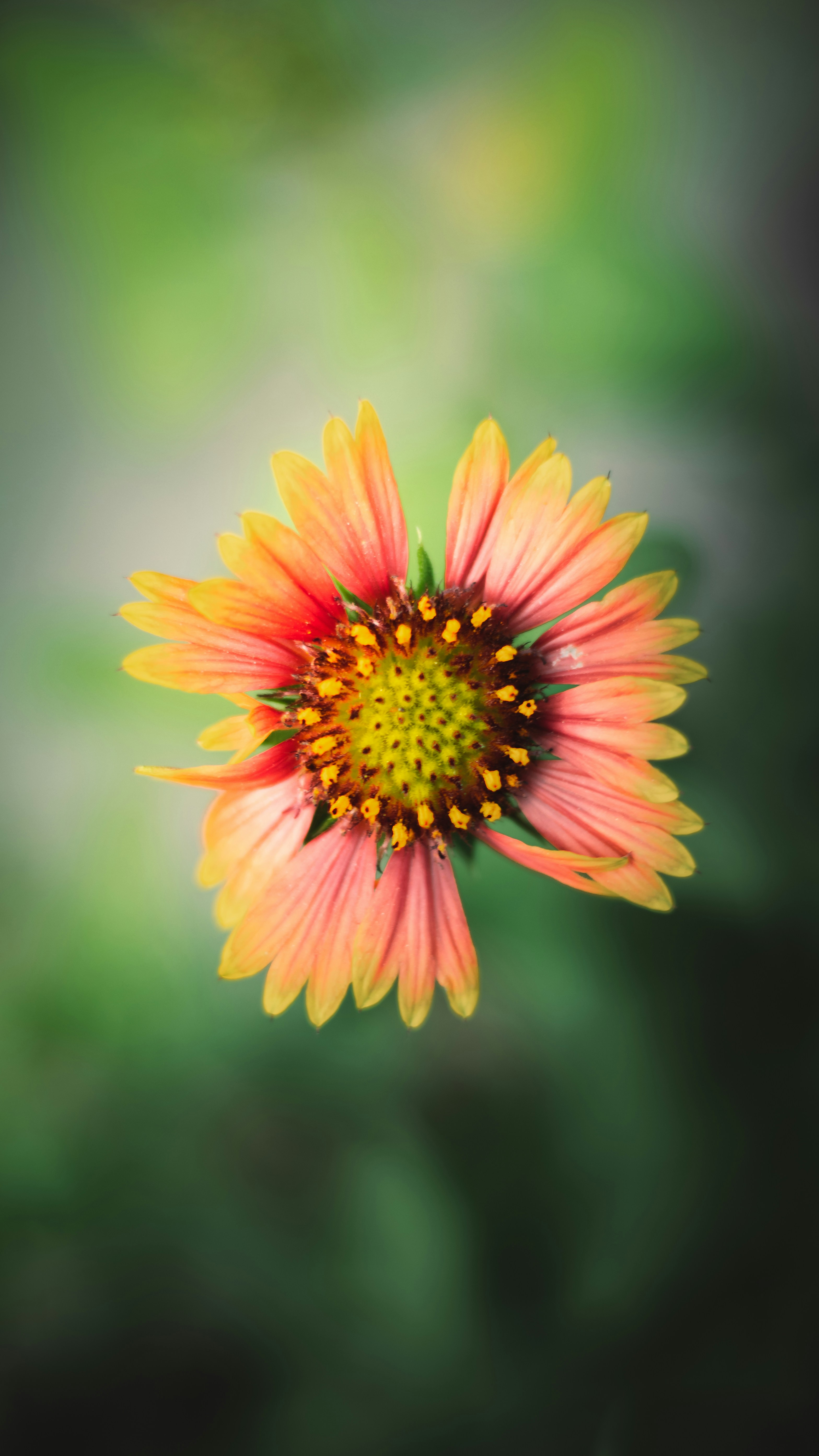 Photo by i_do_photographee