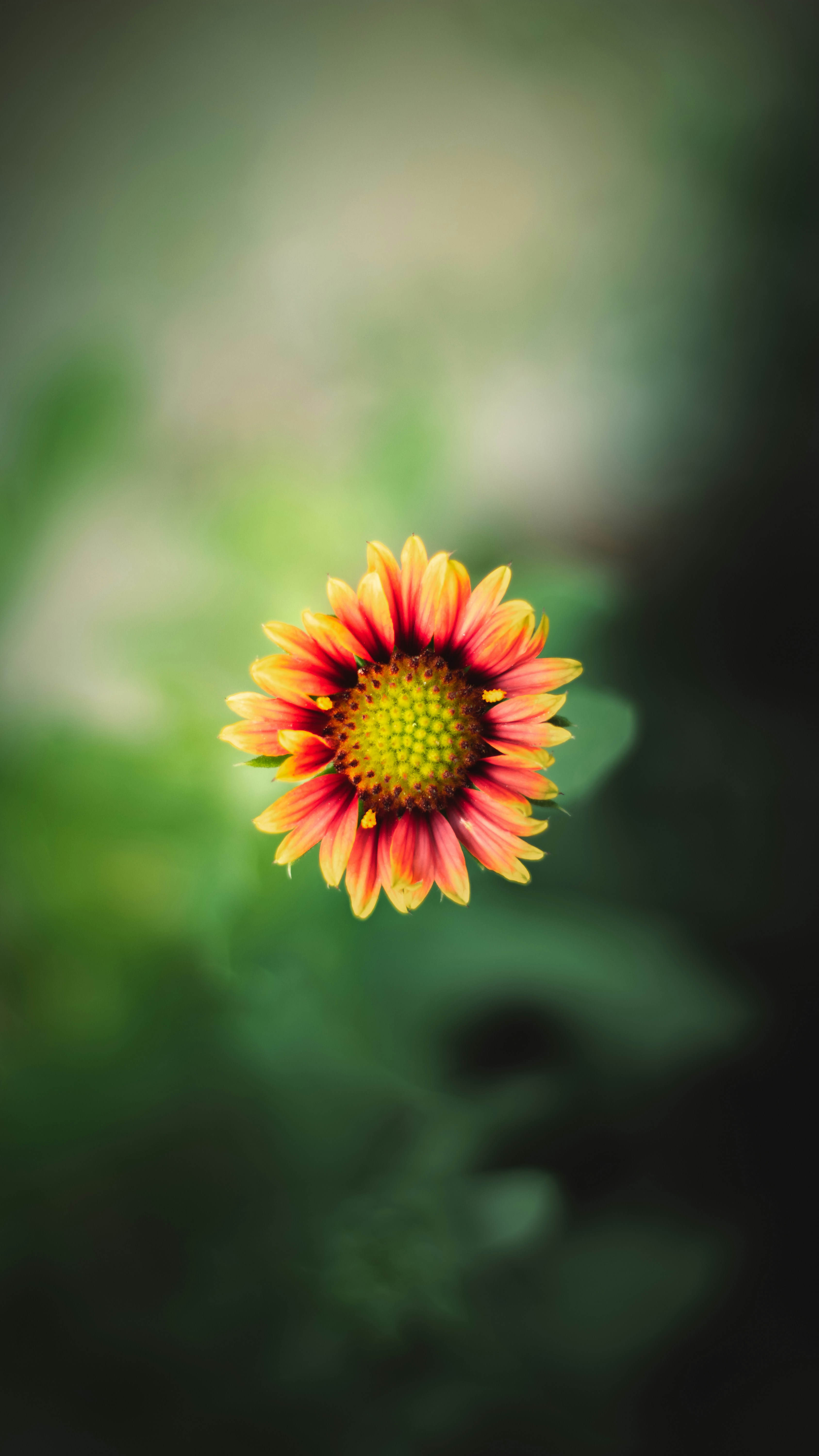 Photo by i_do_photographee