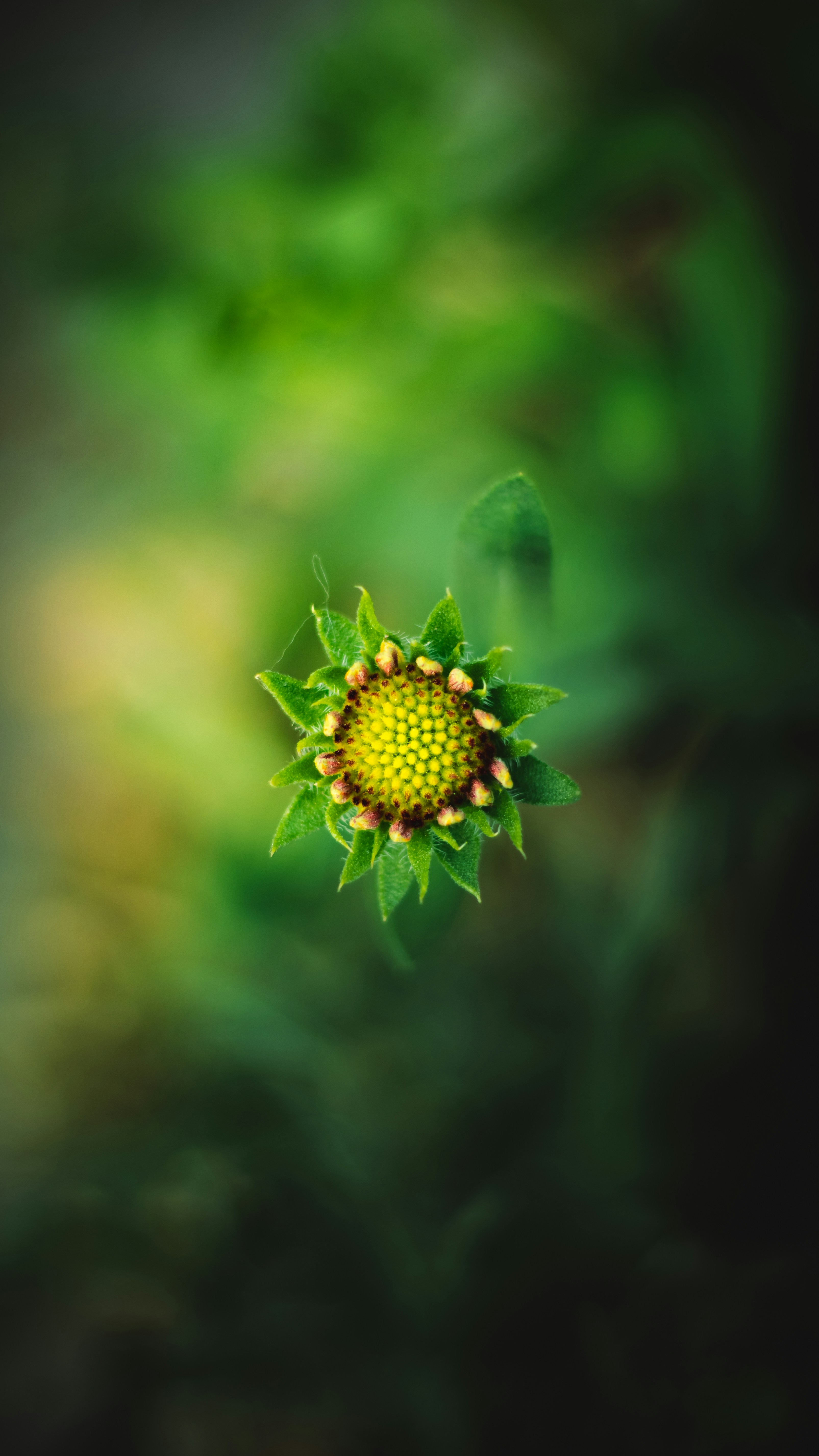 Photo by i_do_photographee