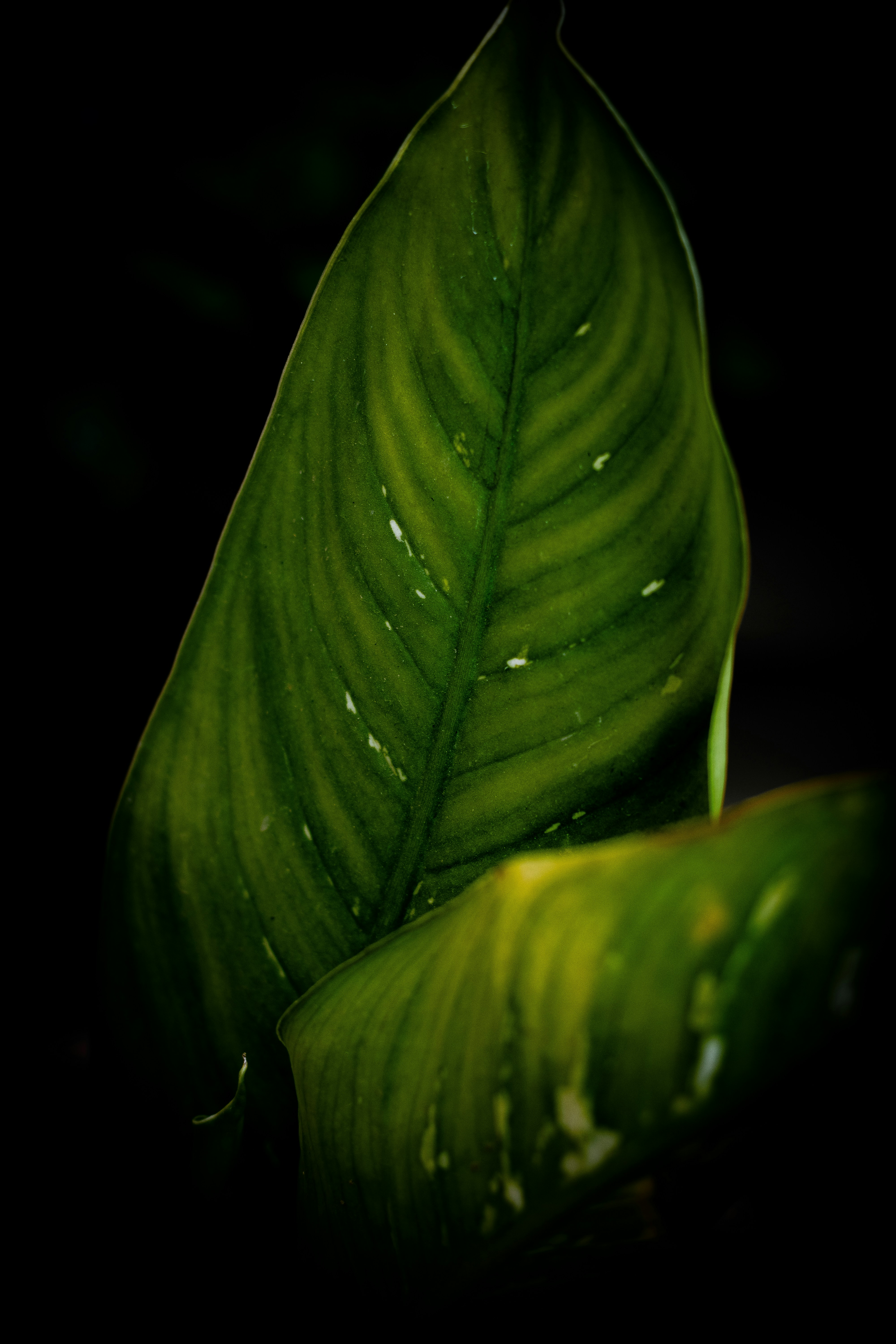 Photo by i_do_photographee