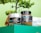 A relaxing spa environment with coffee peeling treatment.
