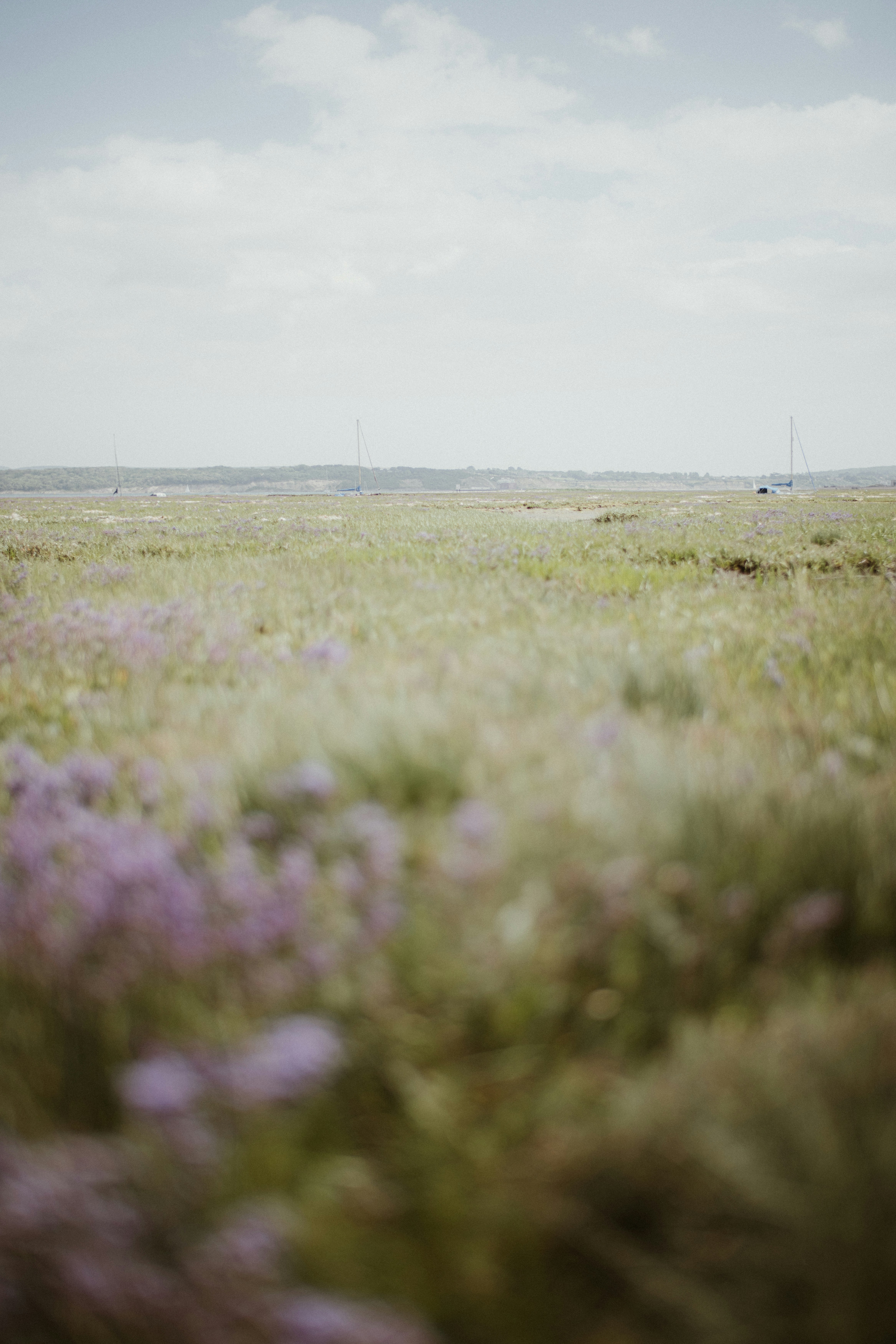 Photo by anniespratt