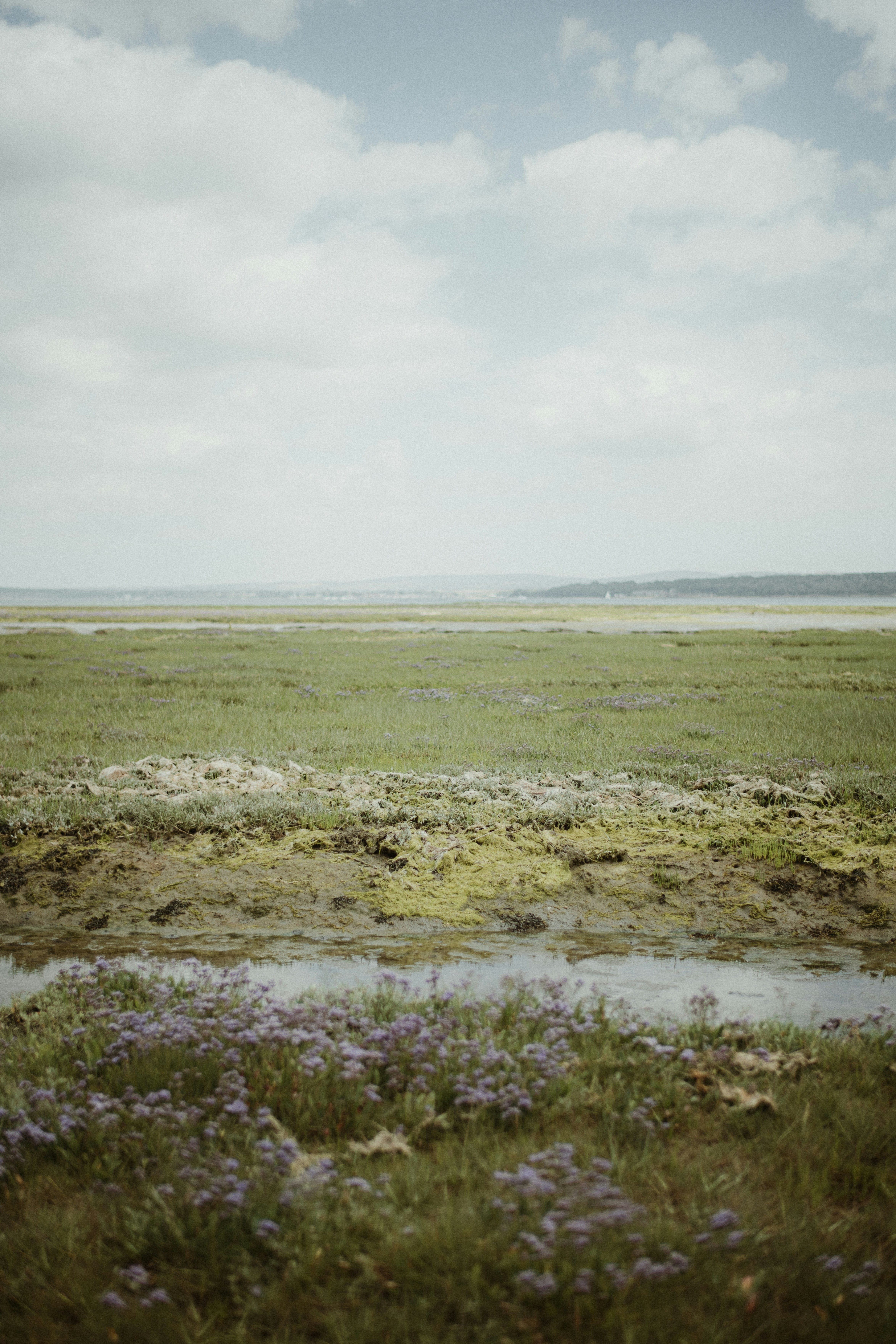 Photo by anniespratt