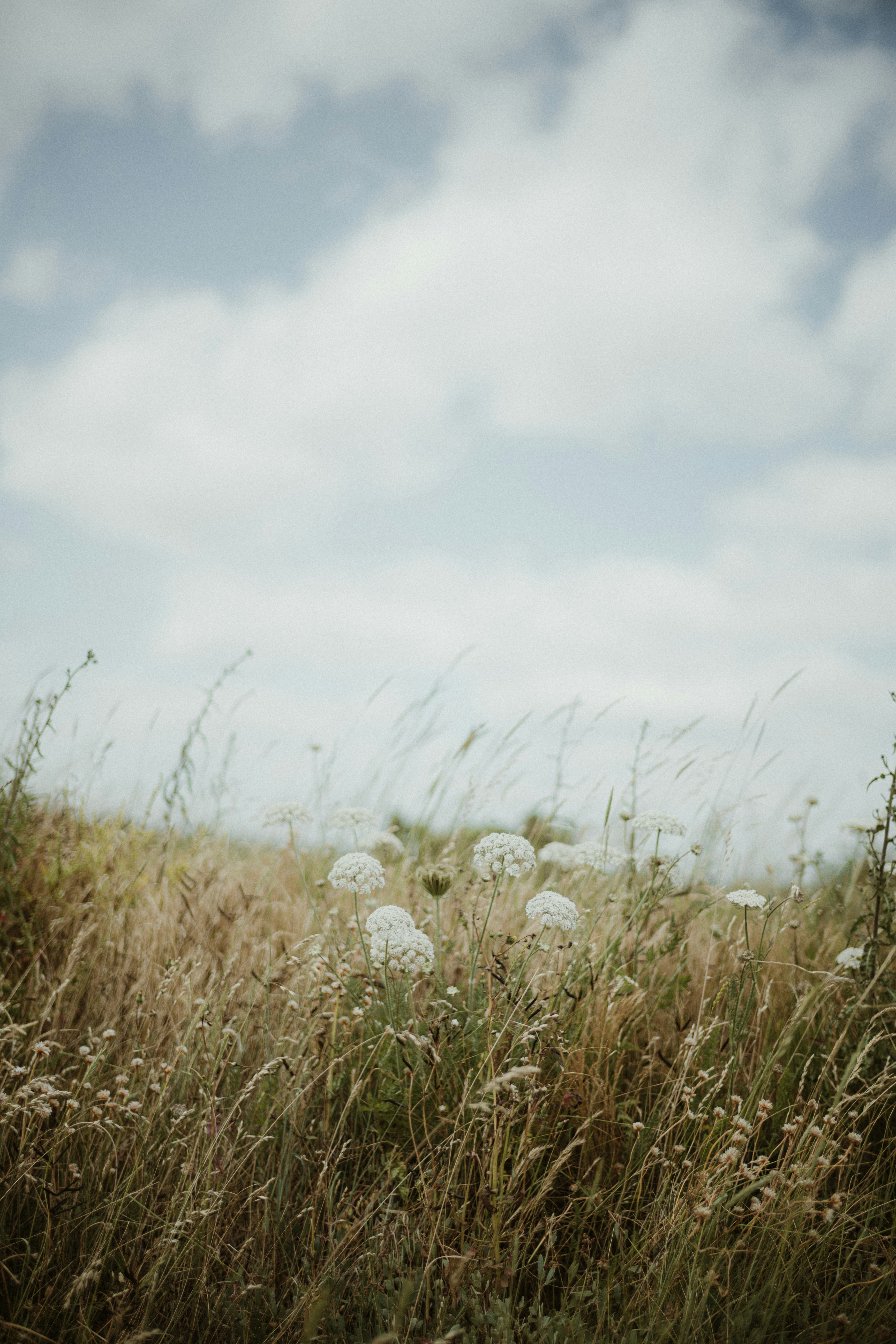 Photo by anniespratt