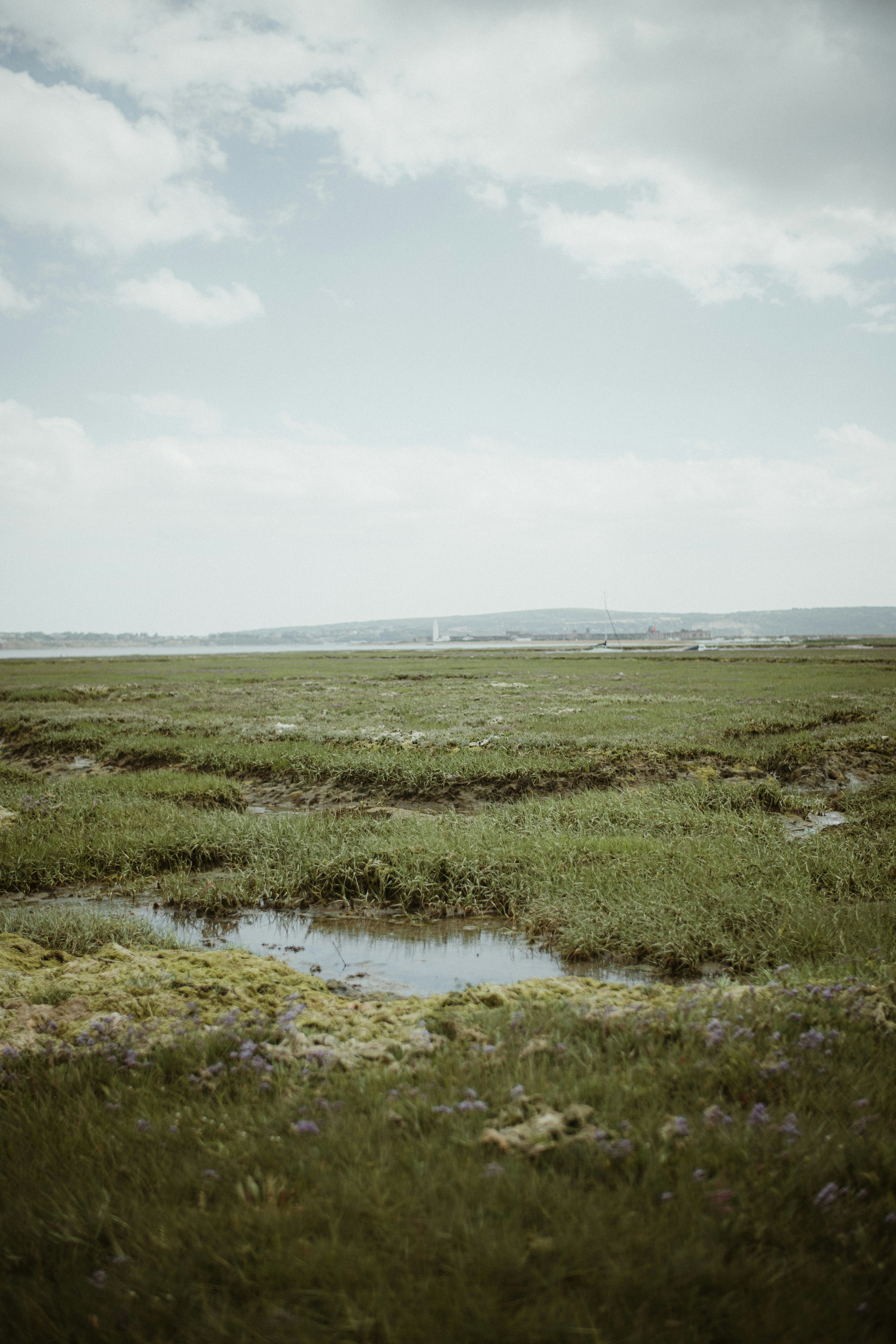 Photo by anniespratt