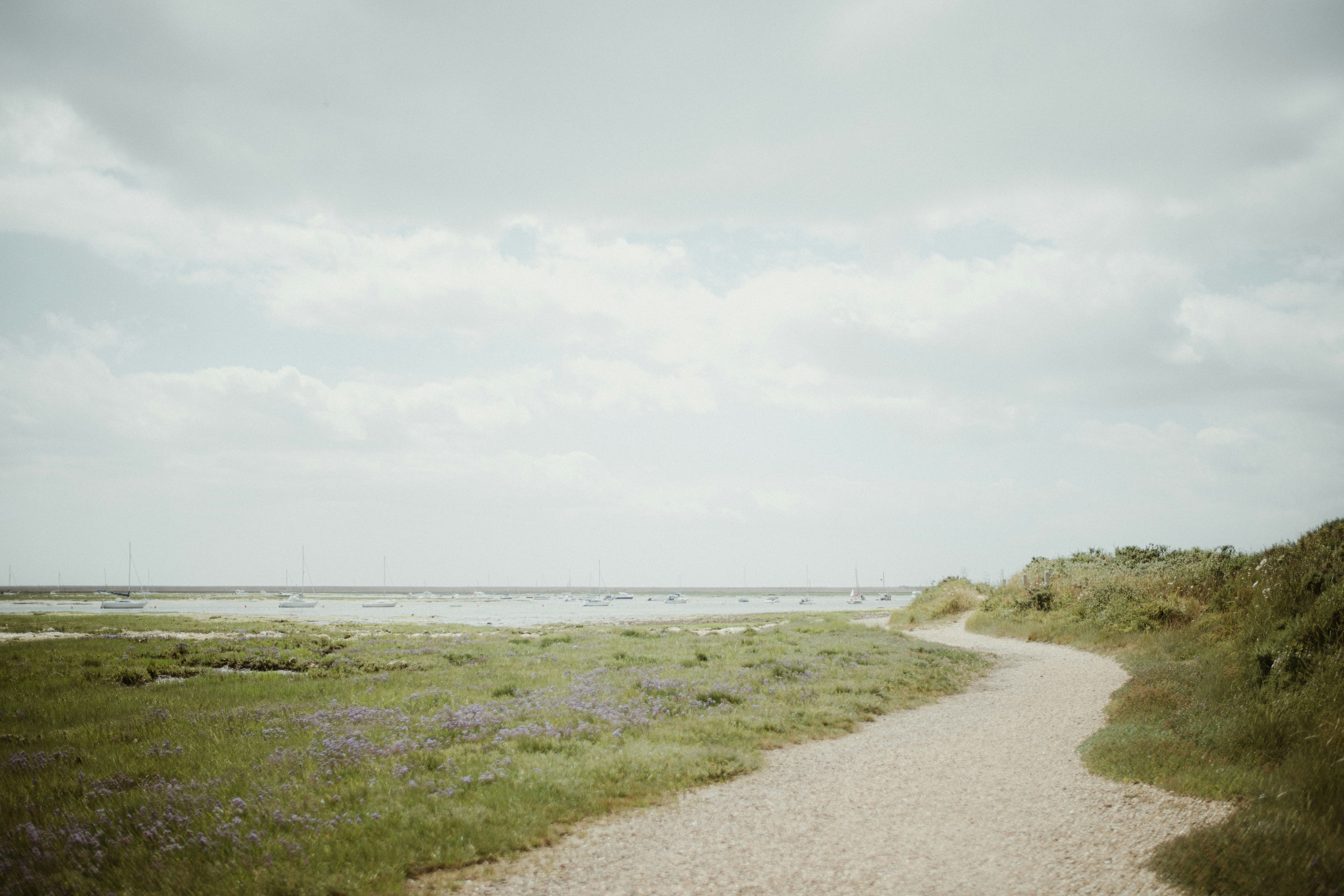 Photo by anniespratt