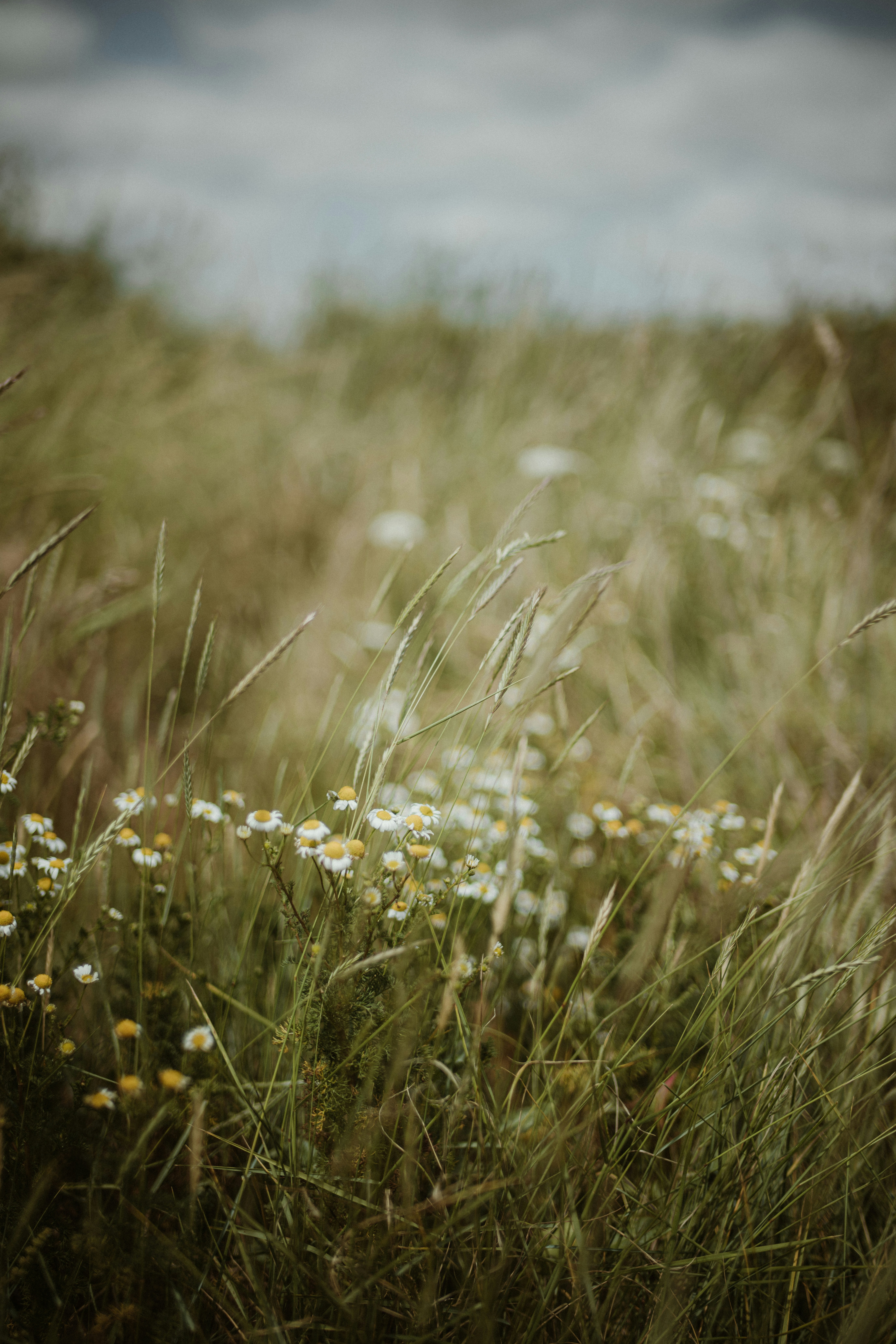 Photo by anniespratt