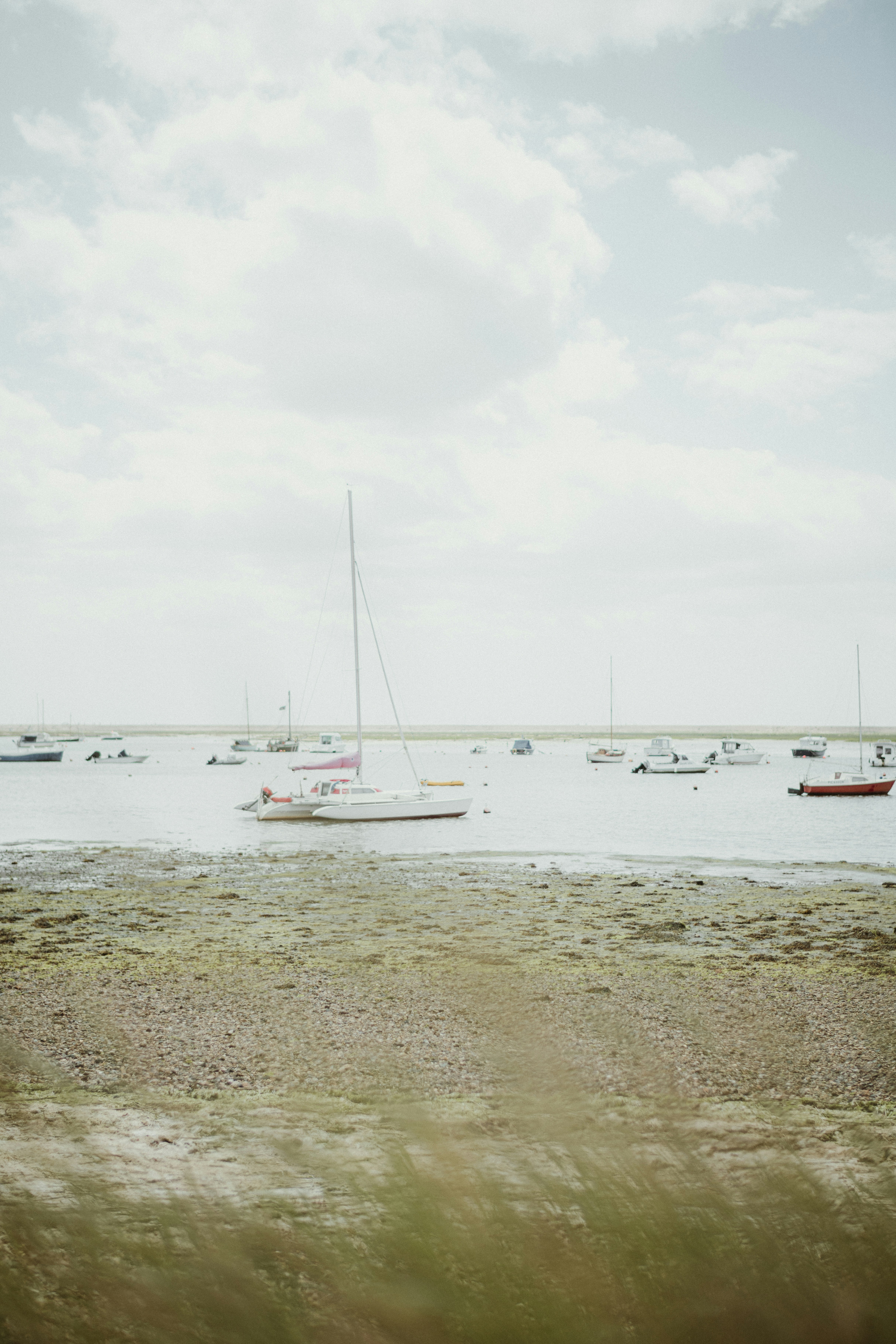 Photo by anniespratt