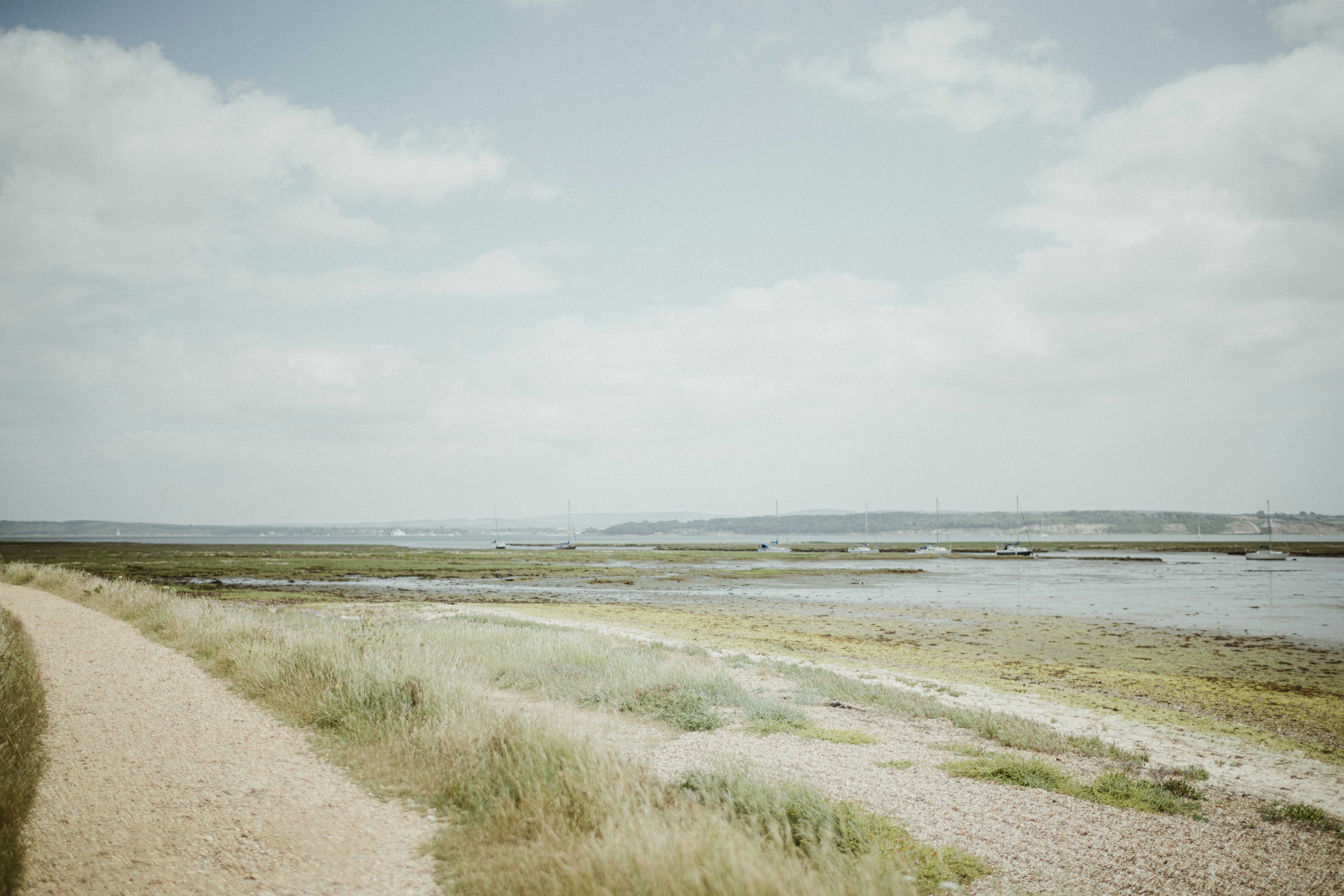 Photo by anniespratt