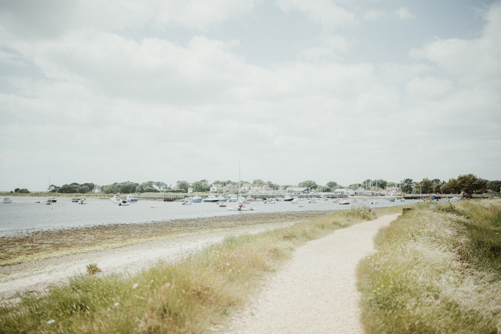 a path leading to a beach with boats in the water