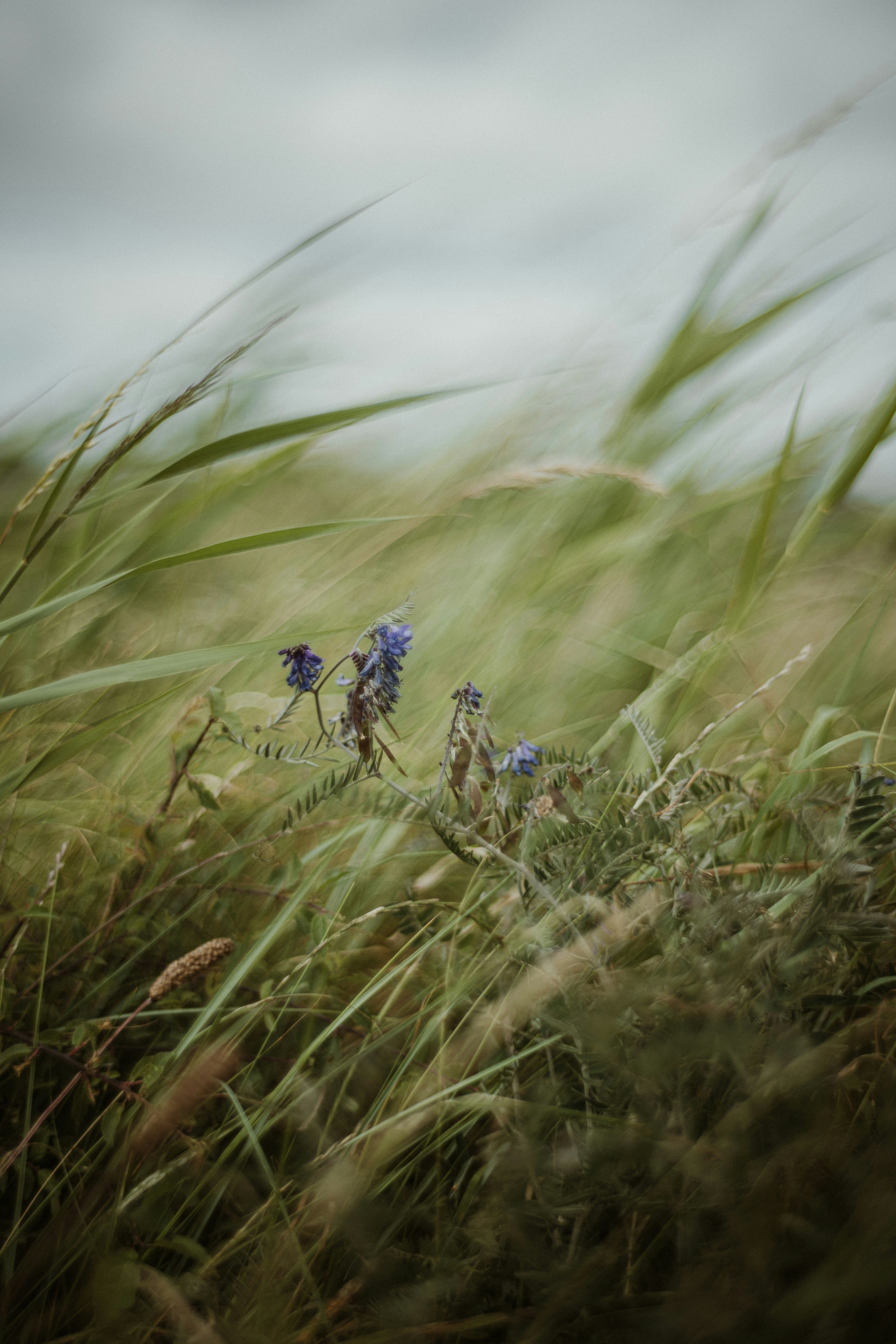 Photo by anniespratt