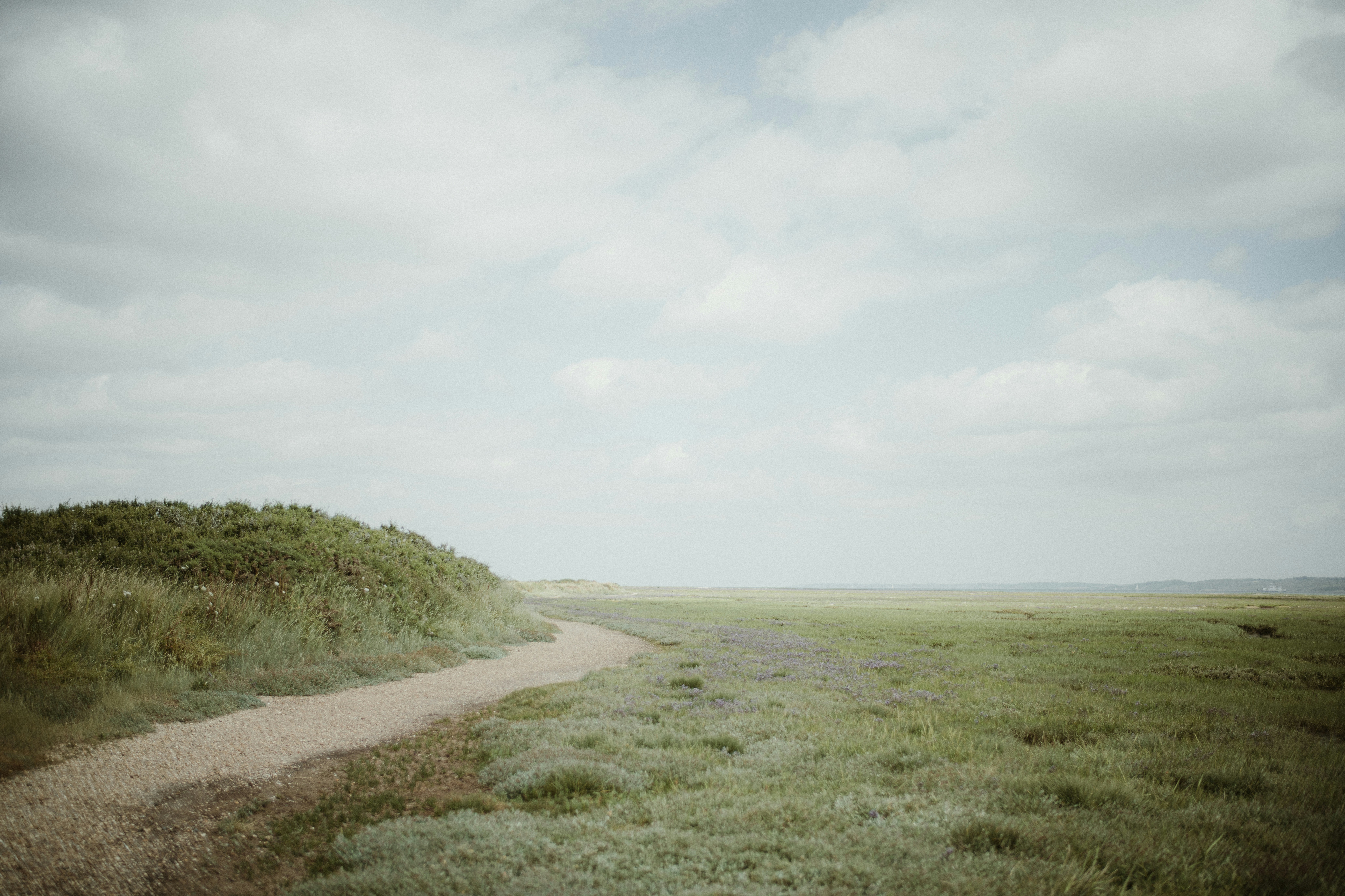 a dirt road going through a grassy field, 