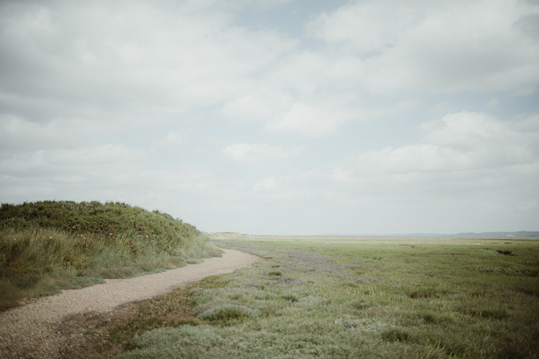 a dirt road going through a grassy field,
