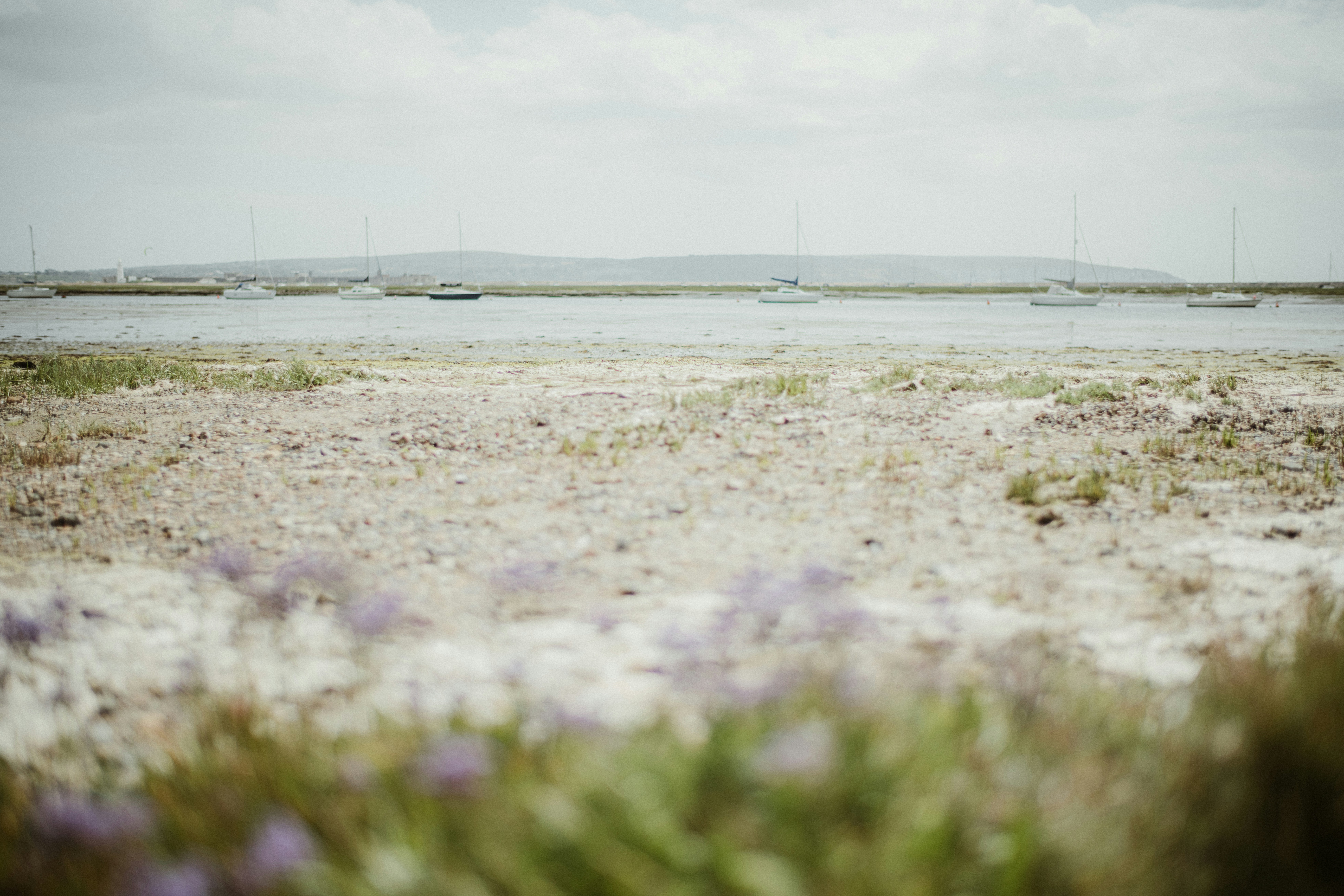 Photo by anniespratt