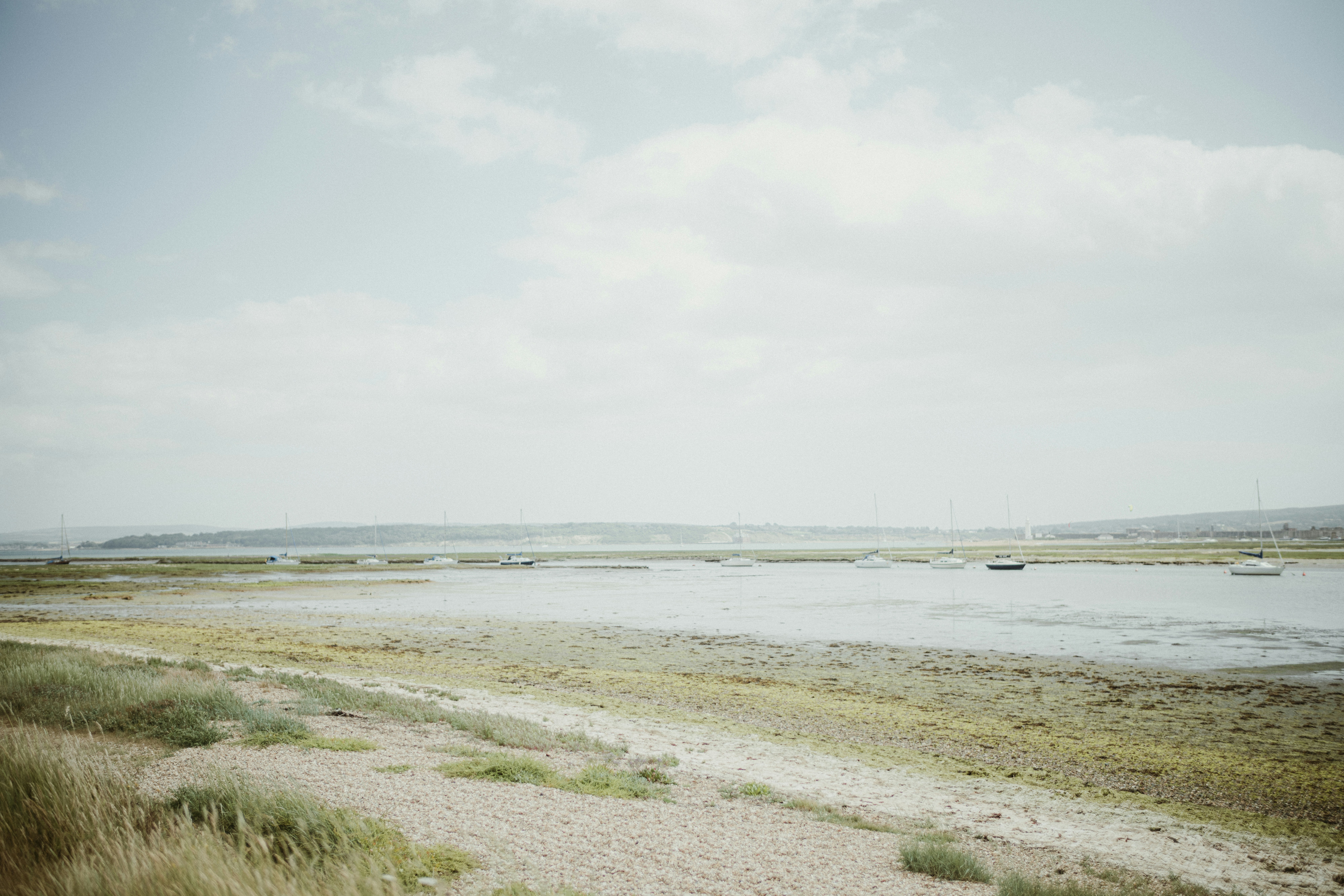 Photo by anniespratt