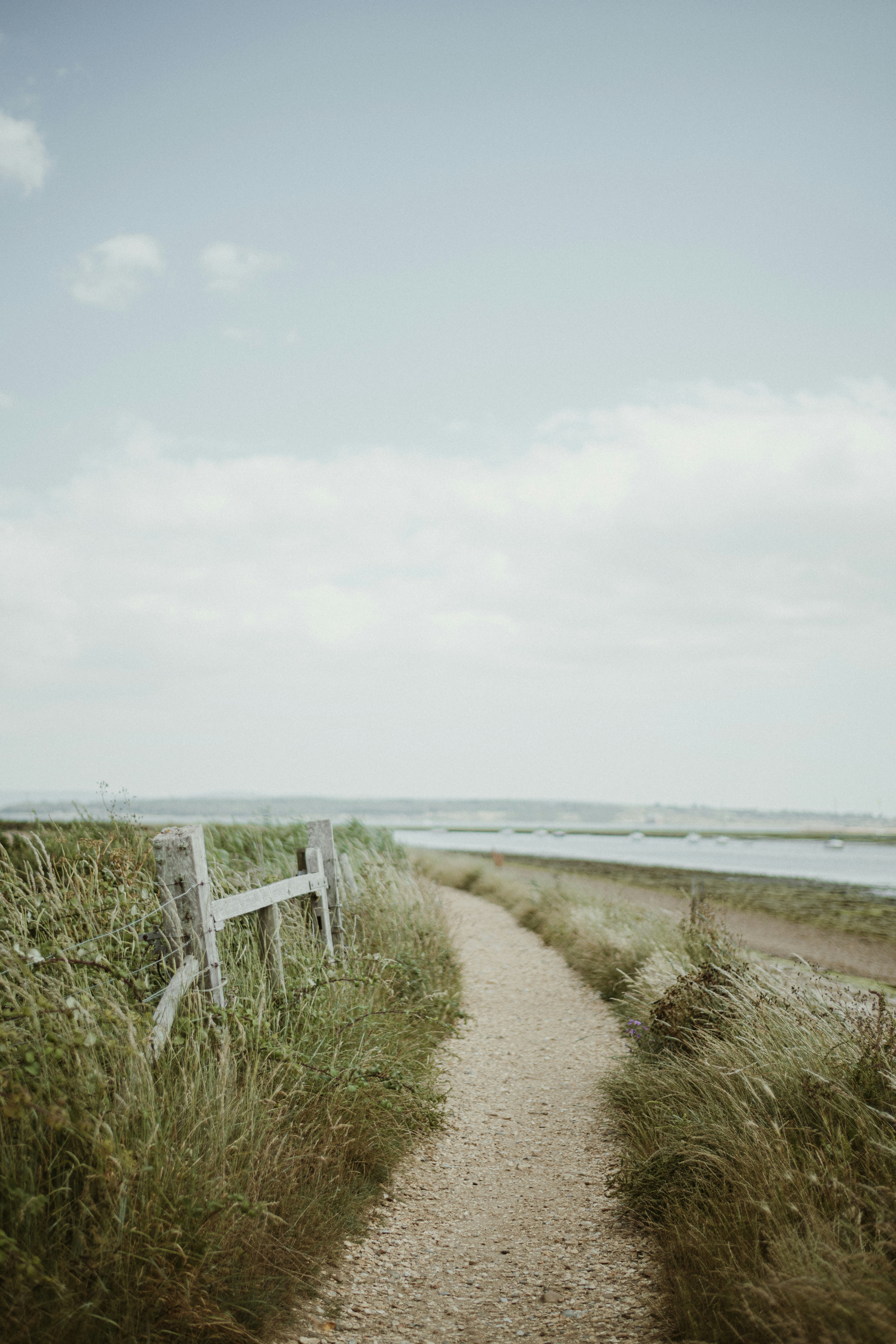 Photo by anniespratt