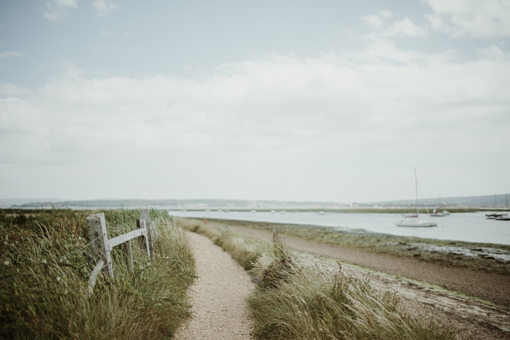 a path leading to a beach with a sailboat in the distance