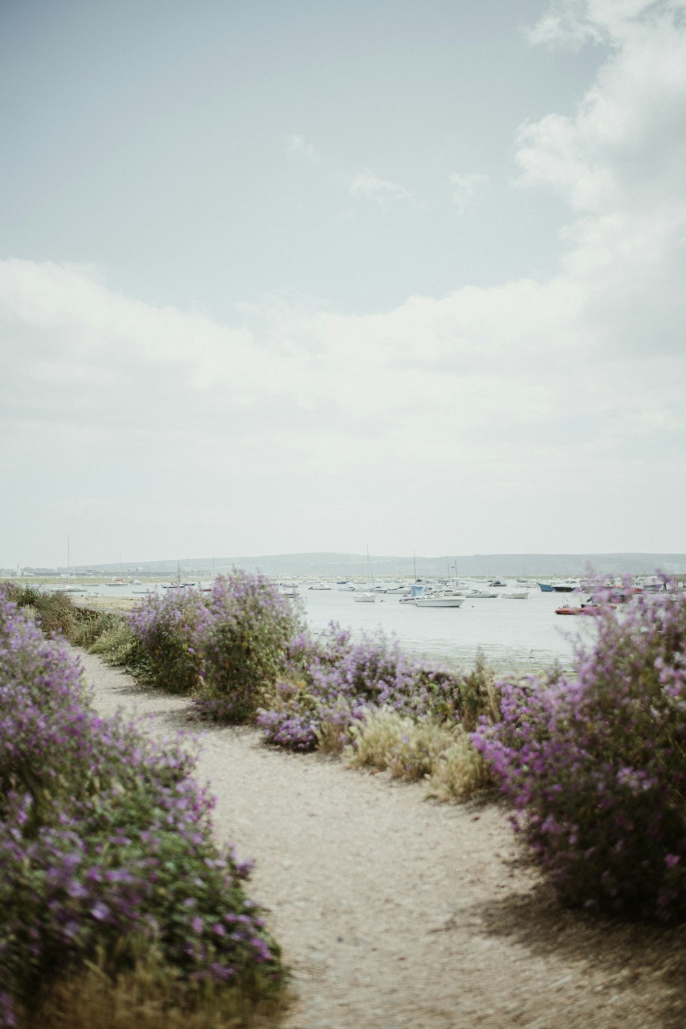 a path leading to a beach with boats in the water