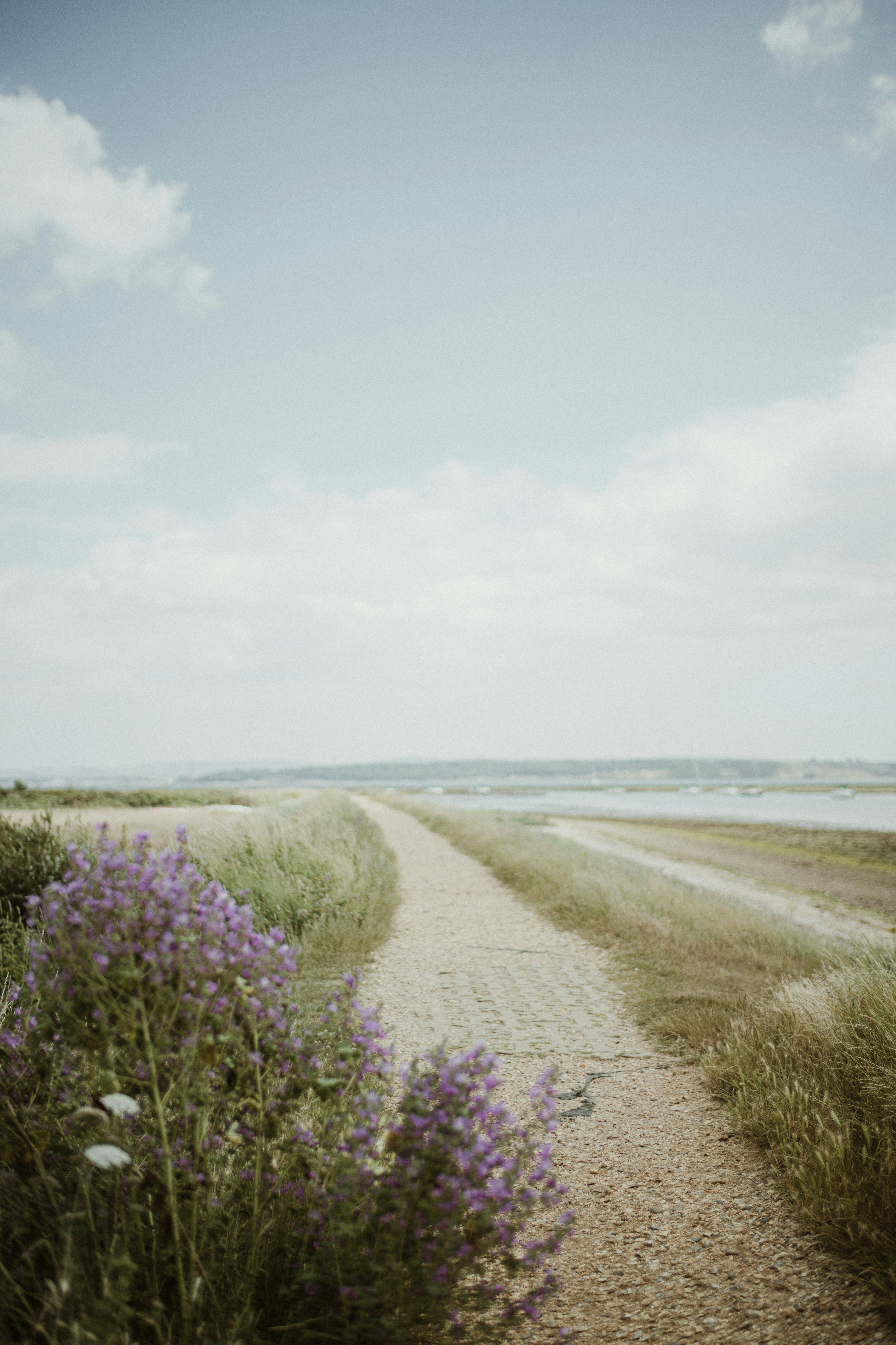 Photo by anniespratt