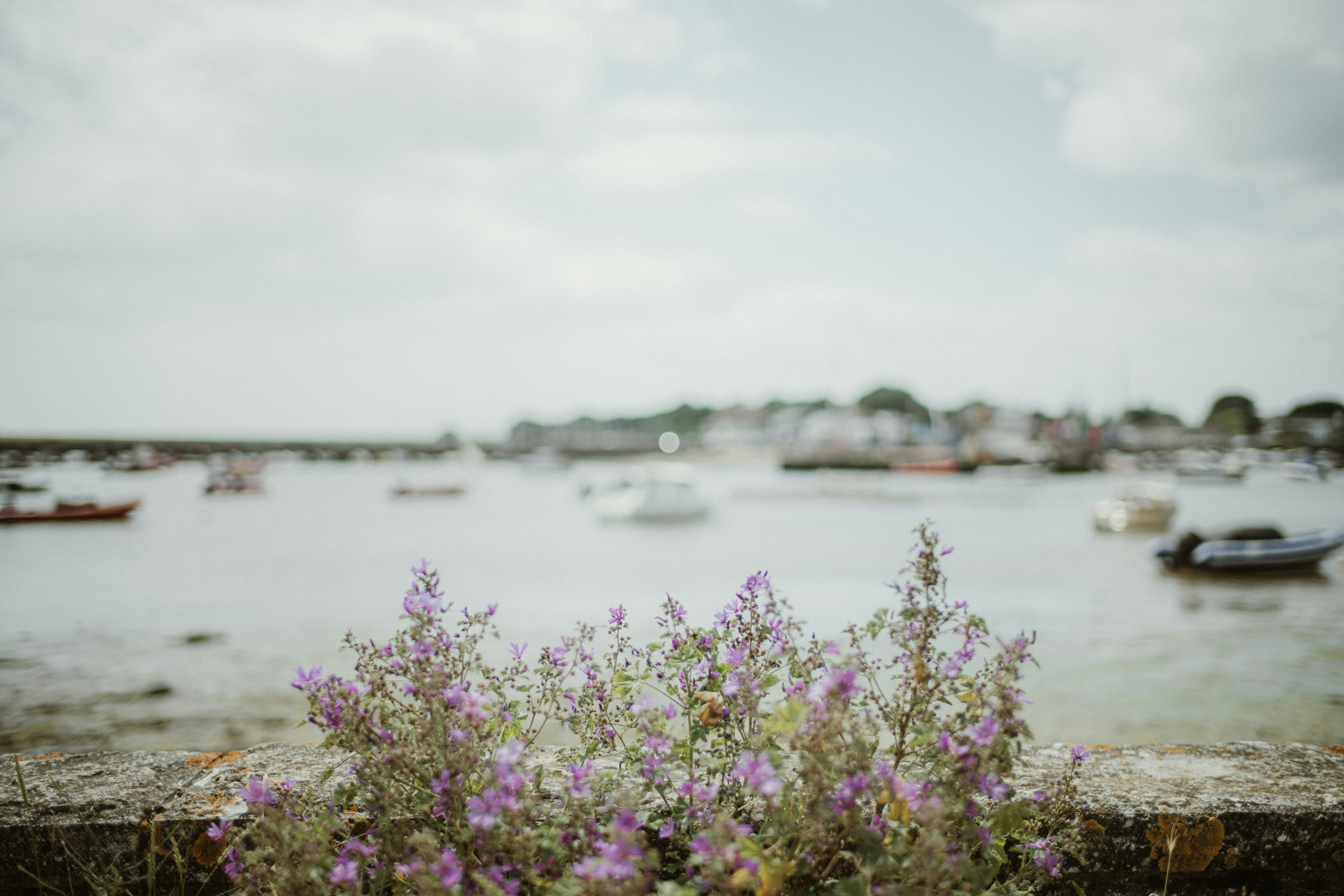 Photo by anniespratt