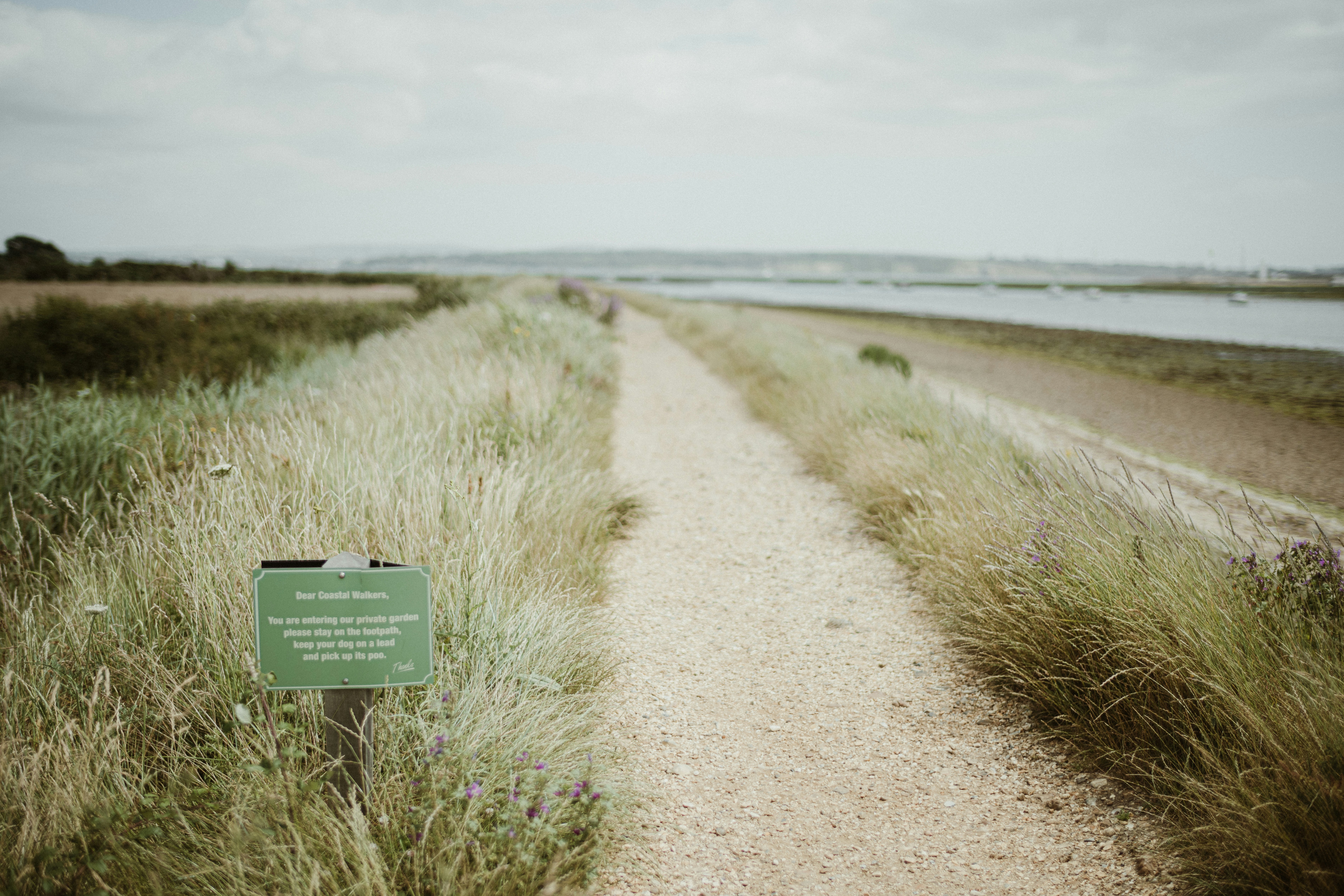 Photo by anniespratt