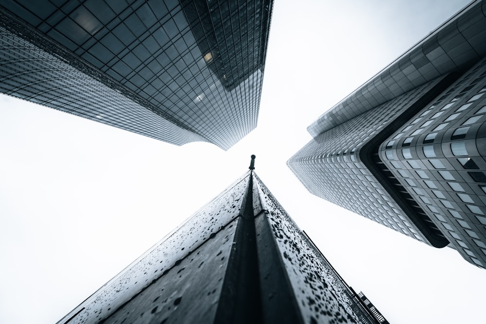 looking up at tall buildings in a city