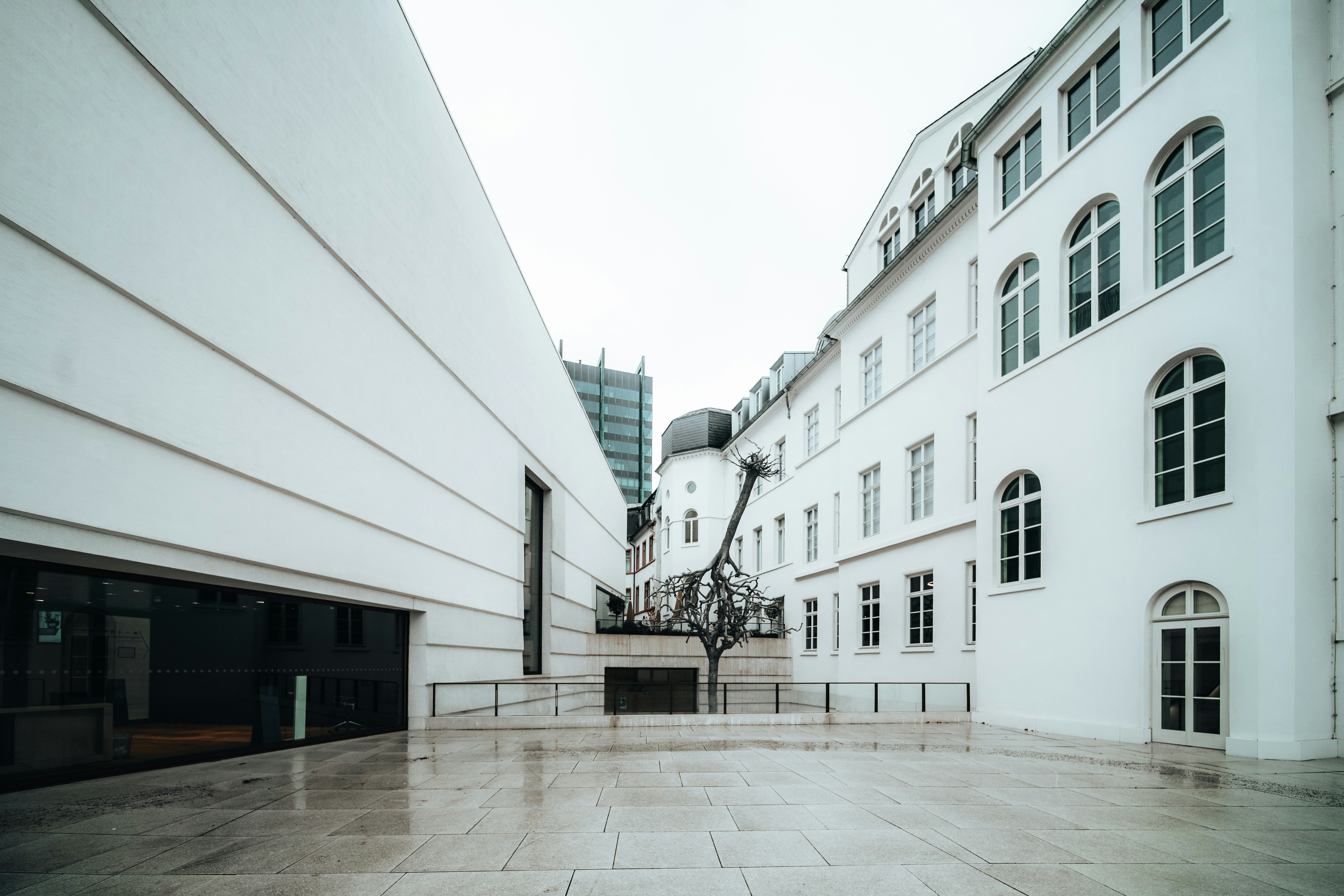 Photo by masoodaslami