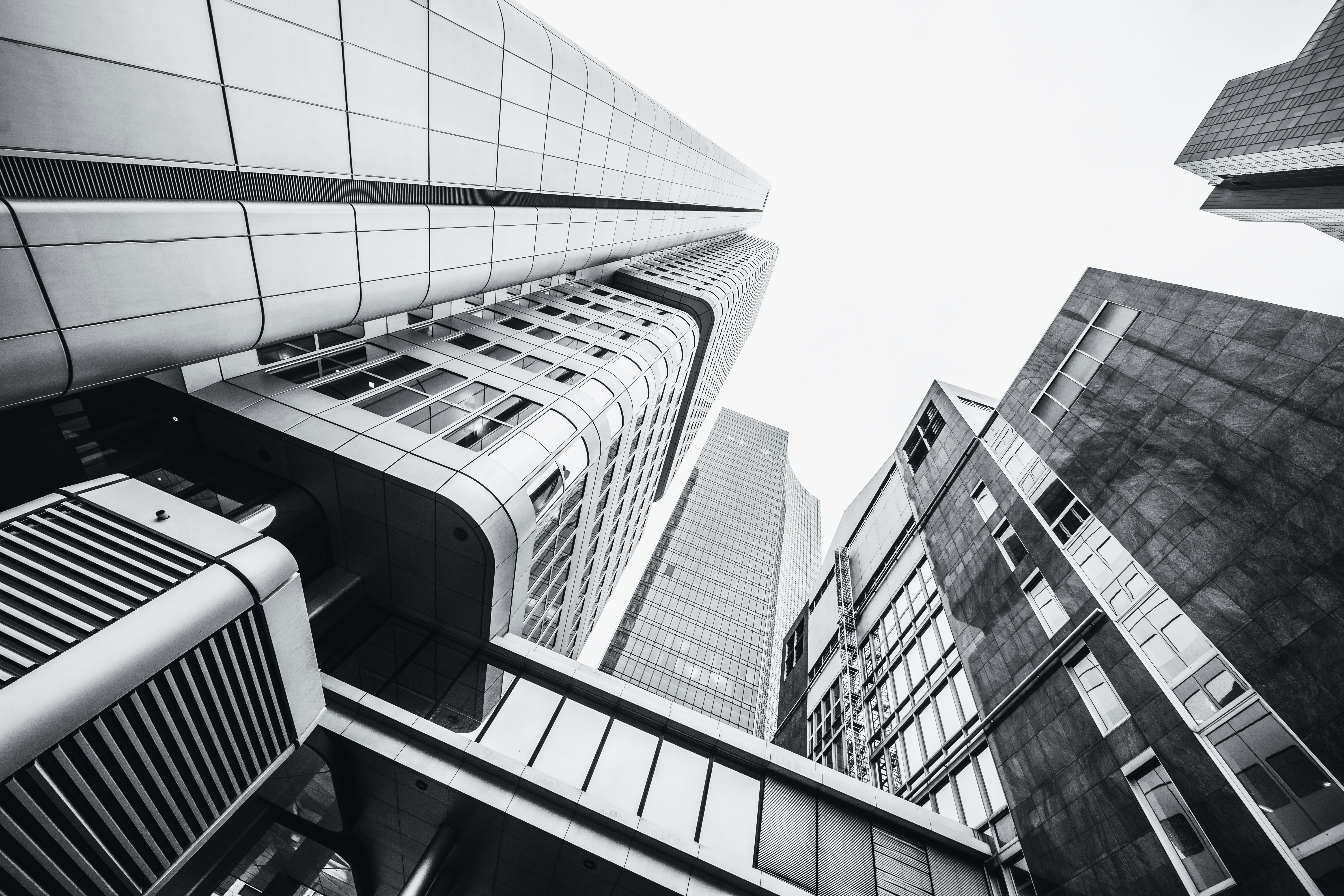 Photo by masoodaslami