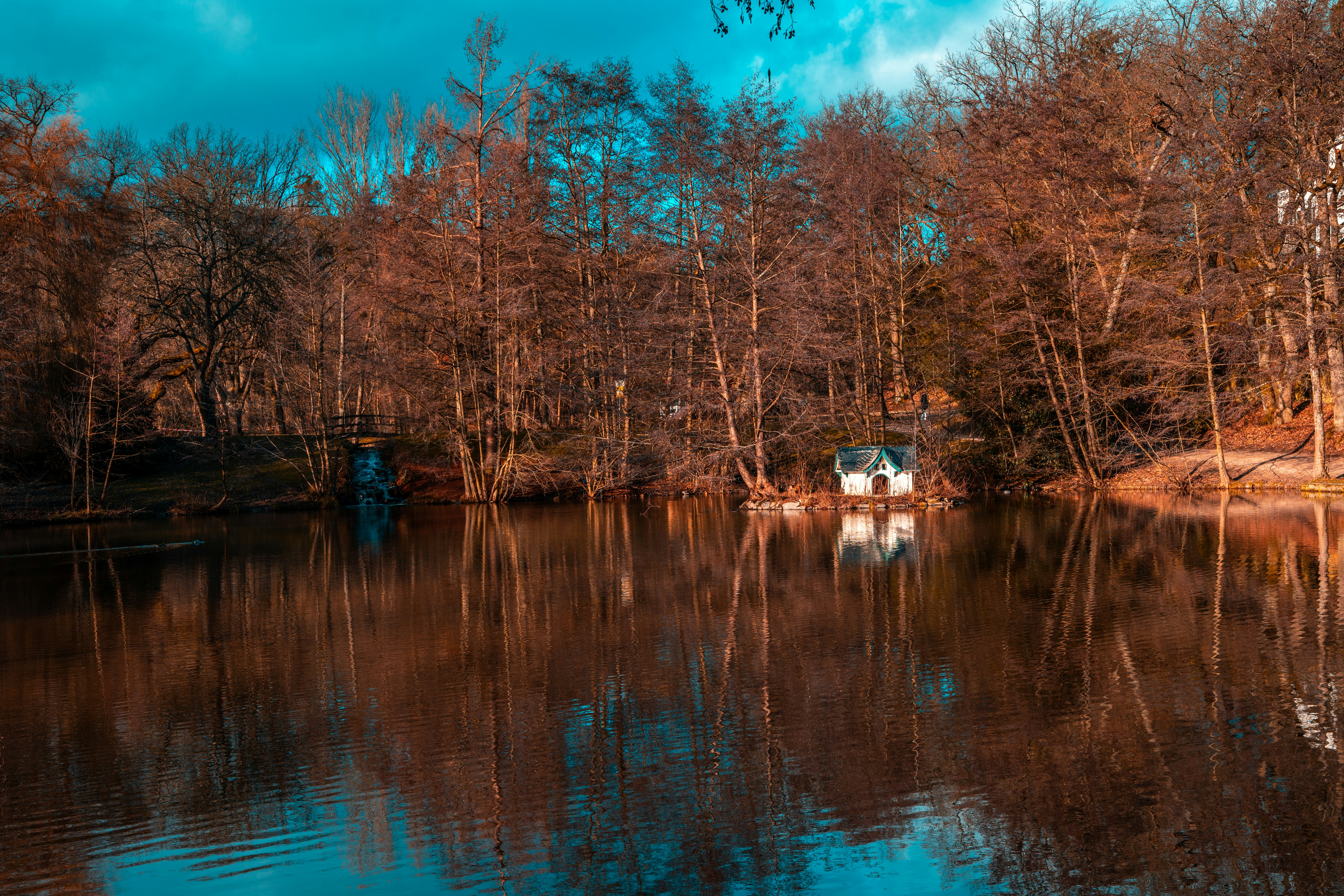 Photo by masoodaslami
