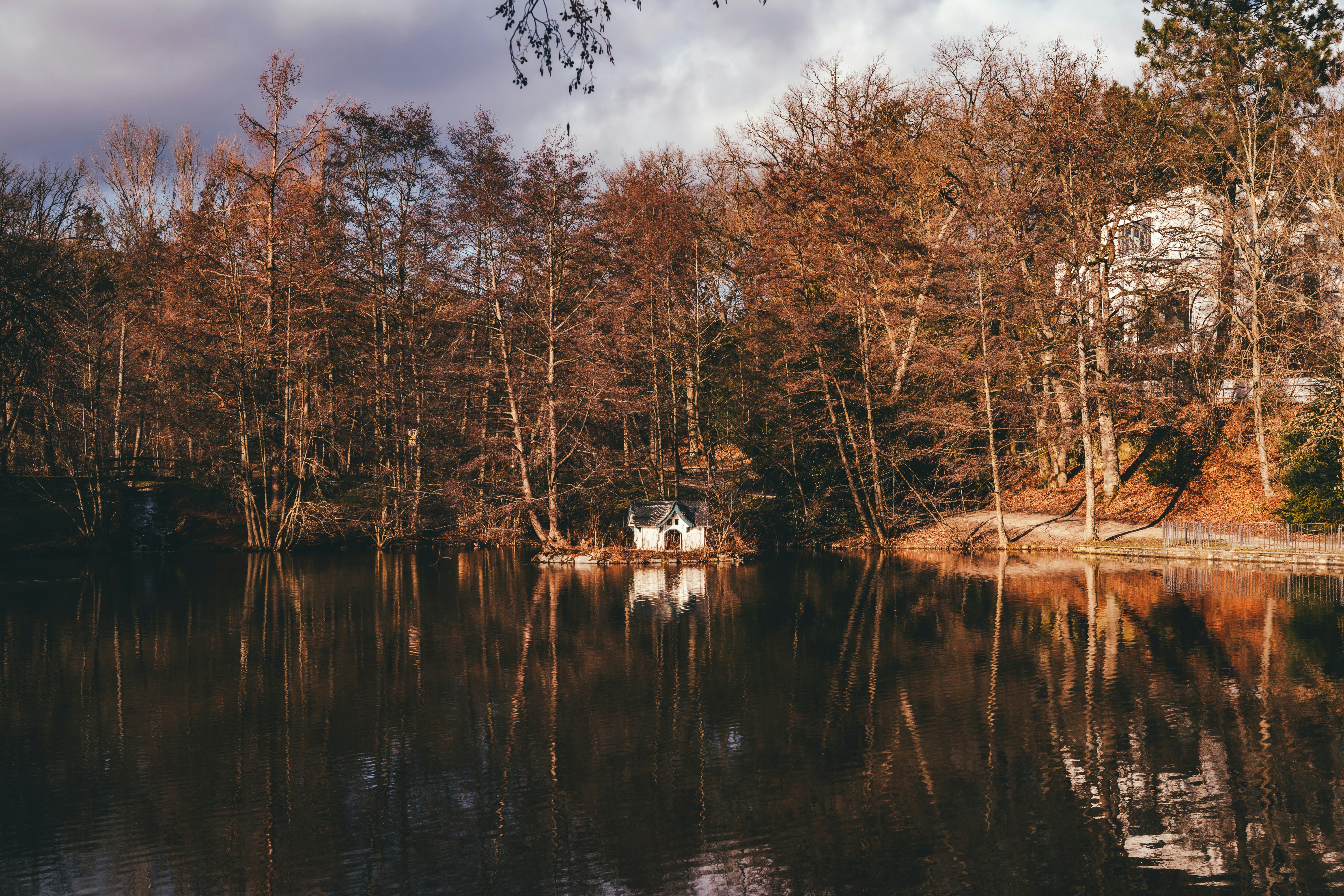 Photo by masoodaslami