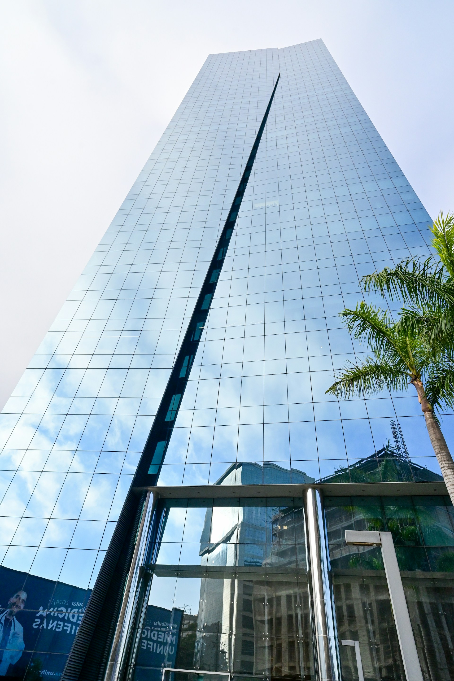a tall glass building with a palm tree in front of it