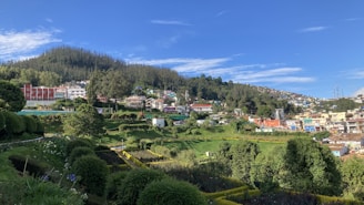 A beautiful view of the landscaped gardens within the township.