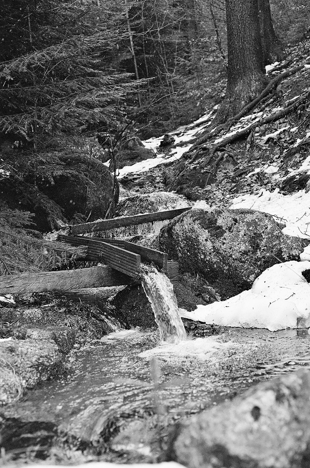 a stream running through a forest filled with snow