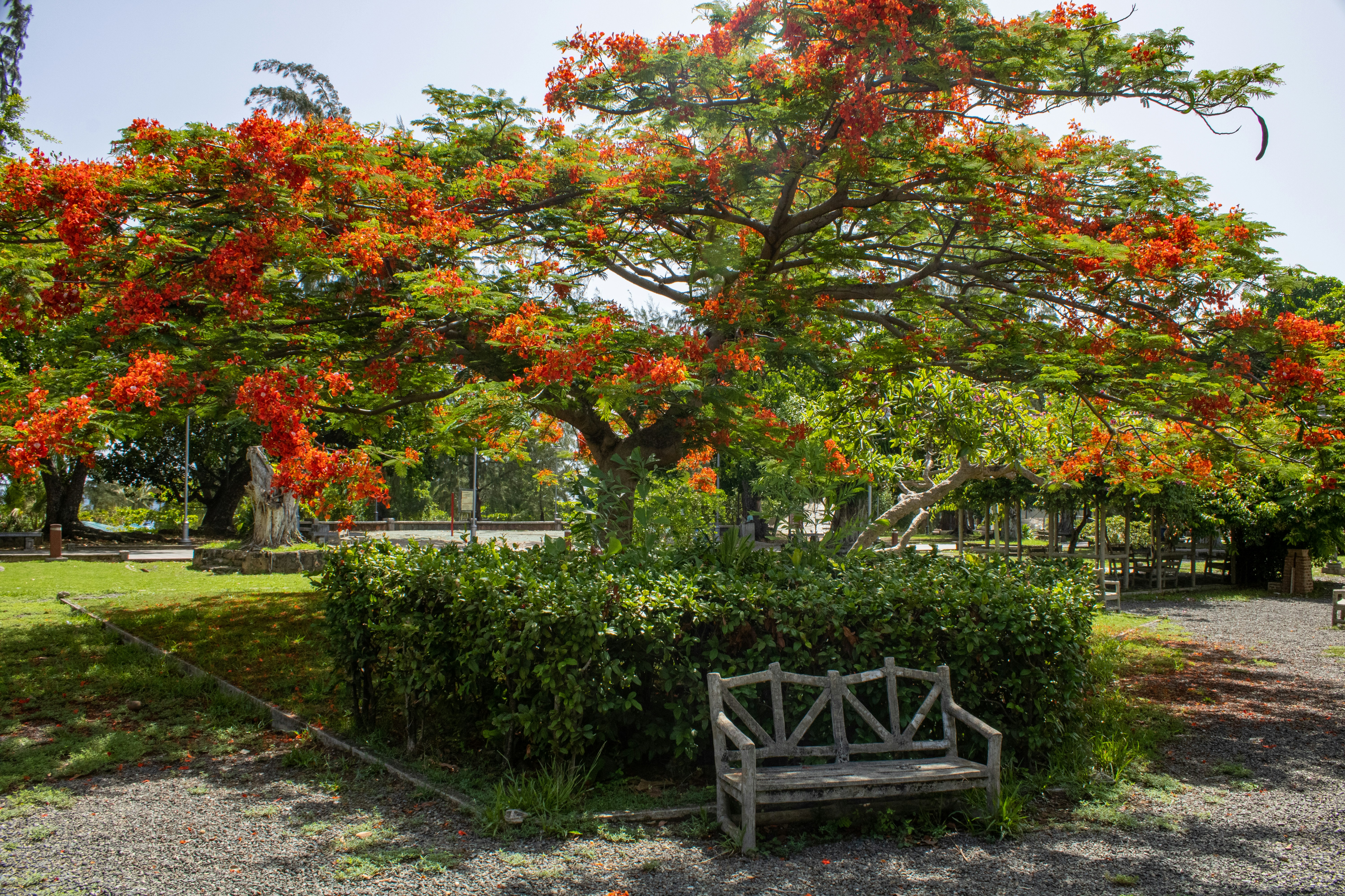 Photo by khaotic_lenz