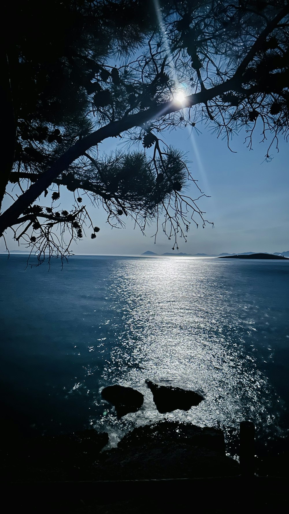 the sun shines through the branches of a tree over the water