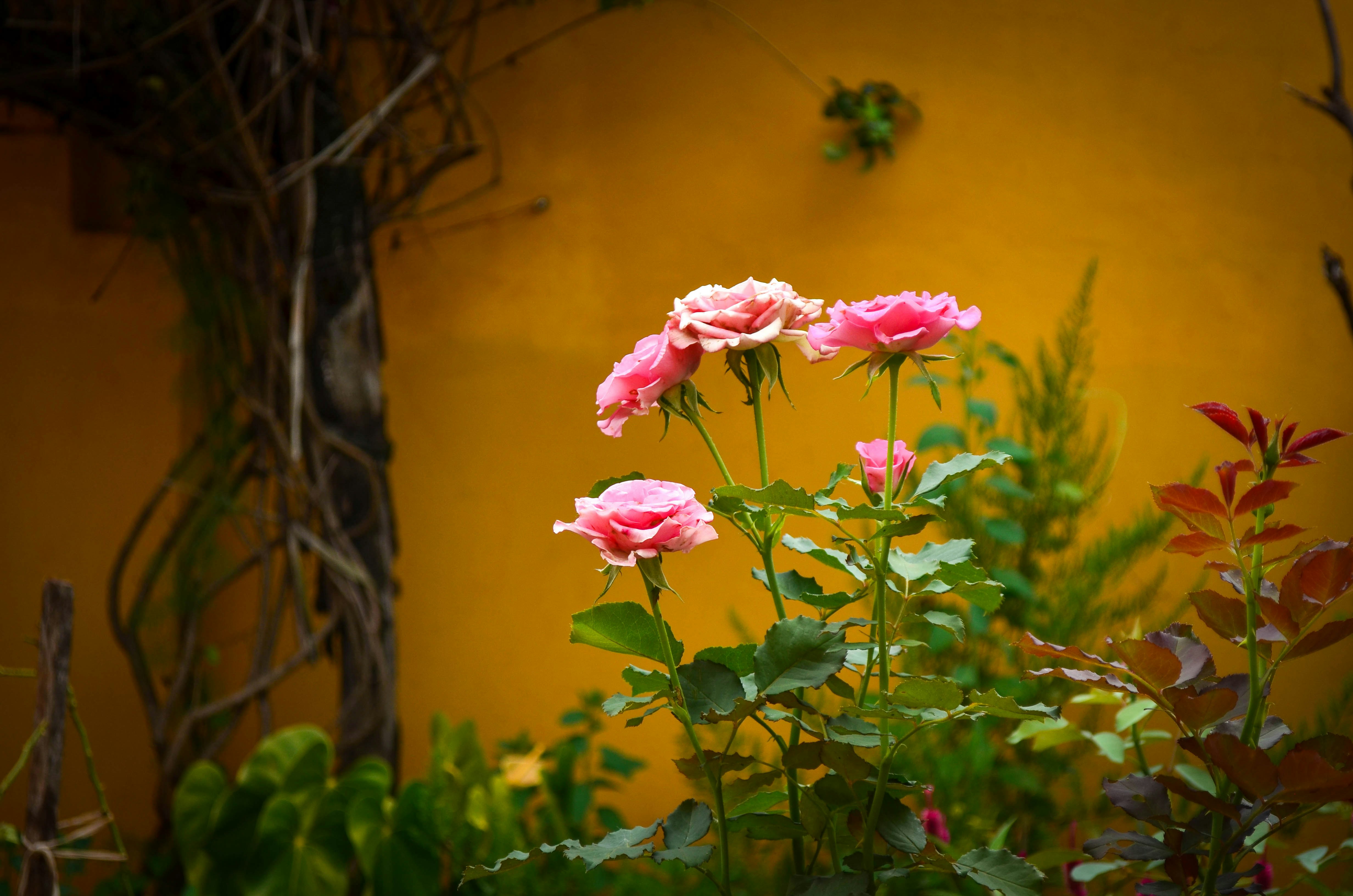 Photo by georgia_vis