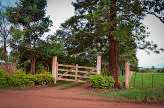 A rustic farm gate opening to green pastures with chickens and fish ponds visible in the background.