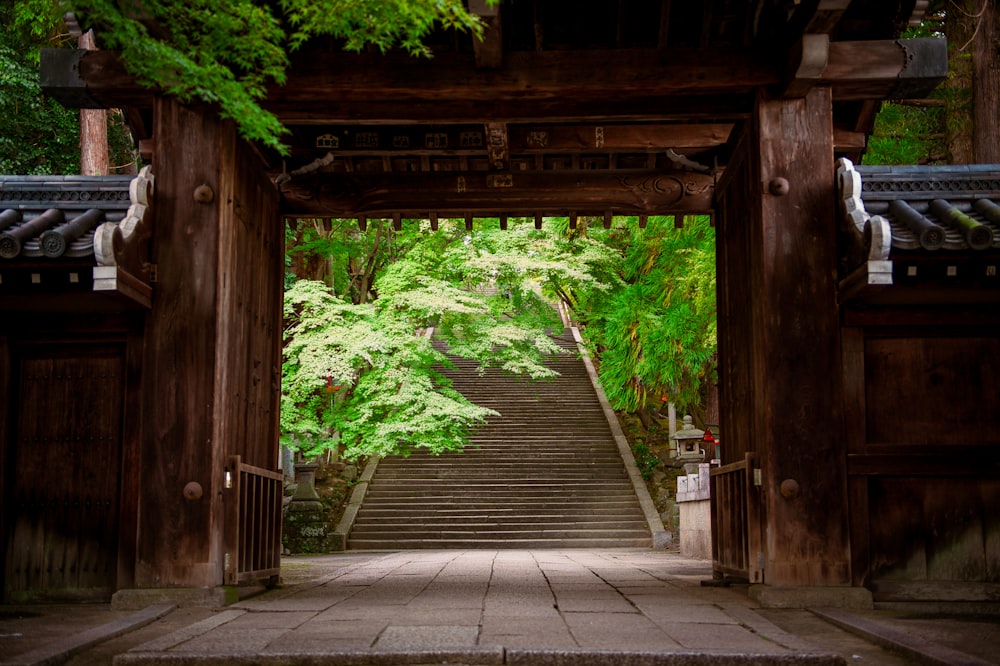 a stairway leading to a lush green forest